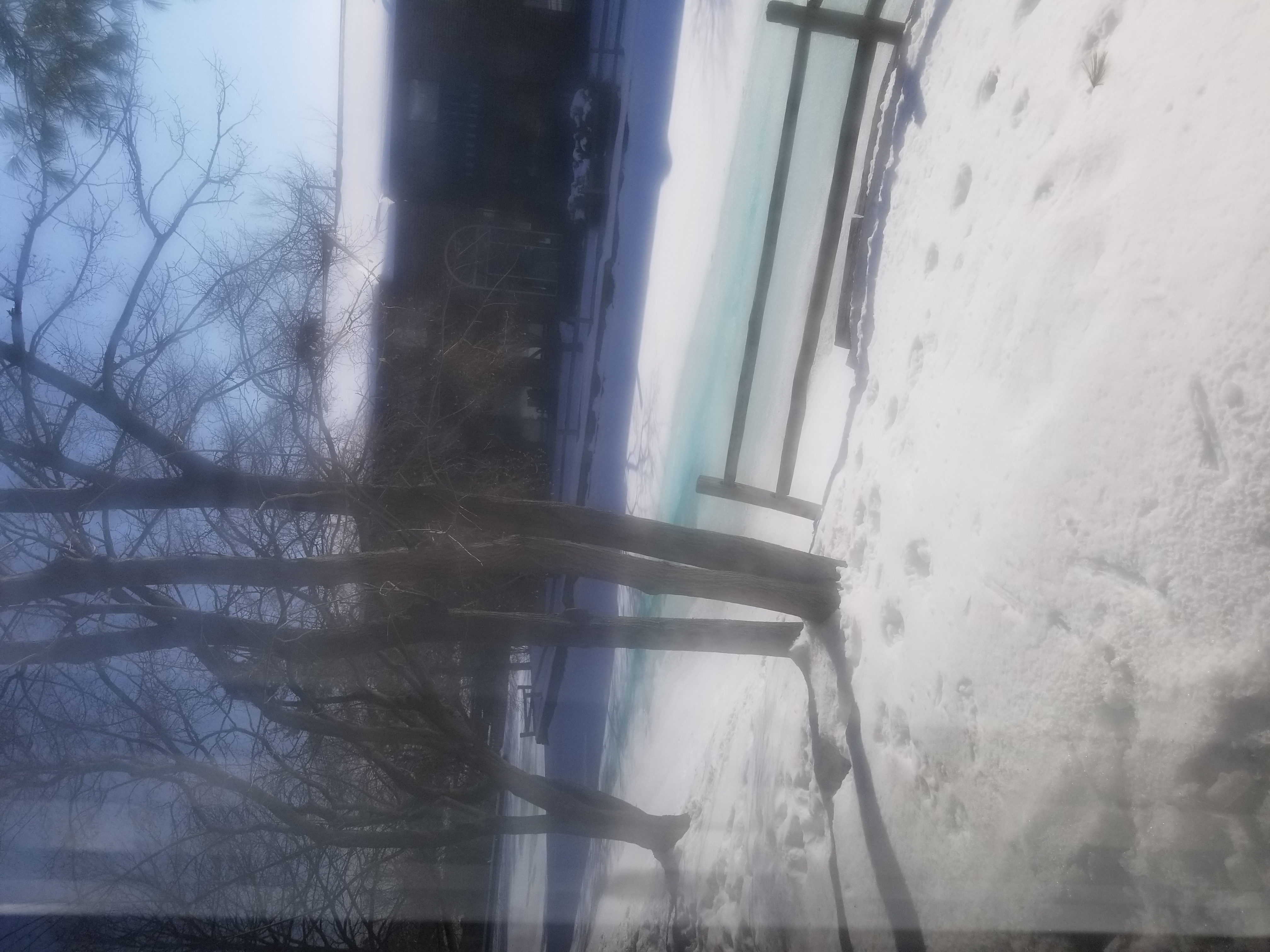 Snow