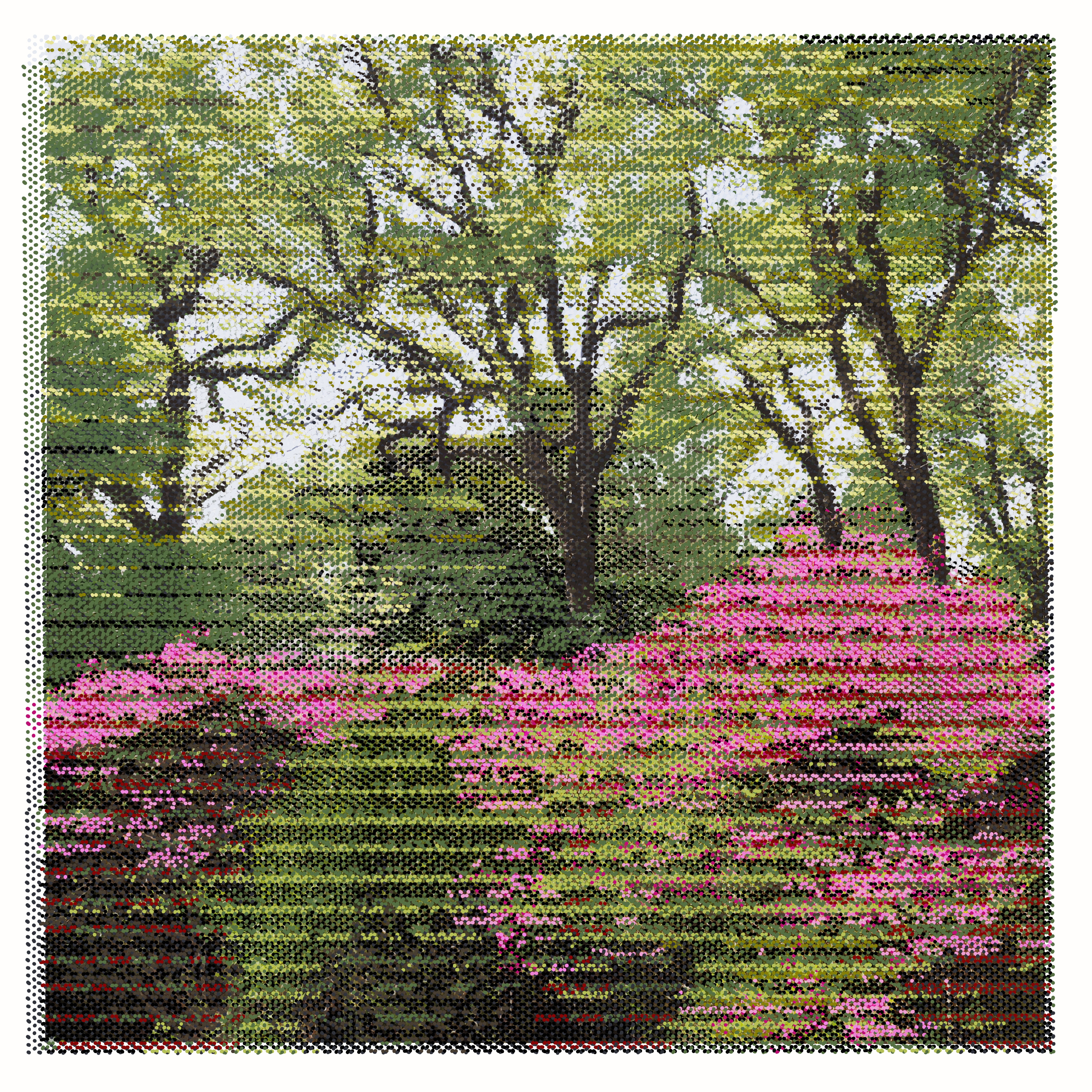 Isabella Plantation 1:53 PM