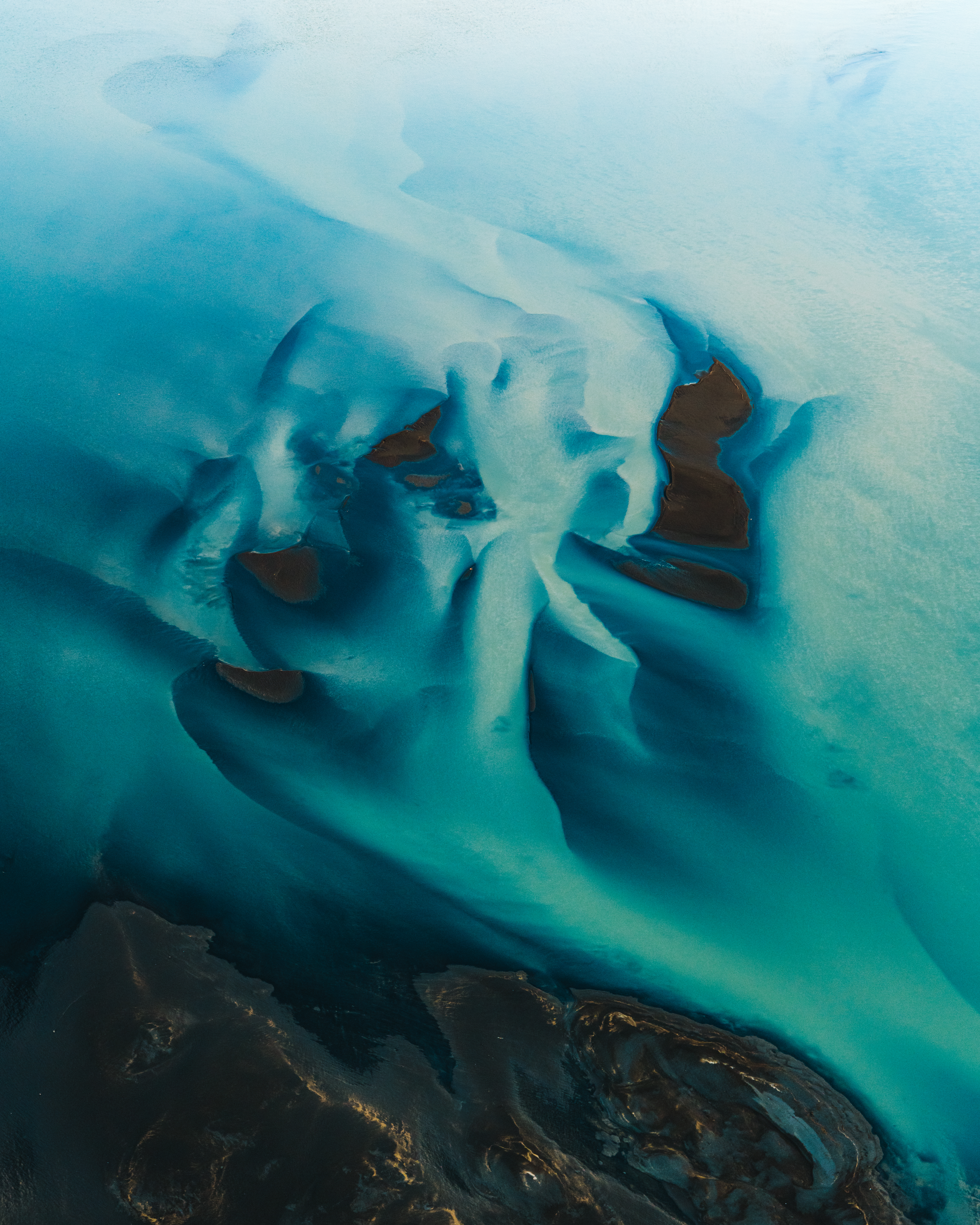 Blue Dragons by Johan Lolos #2/10