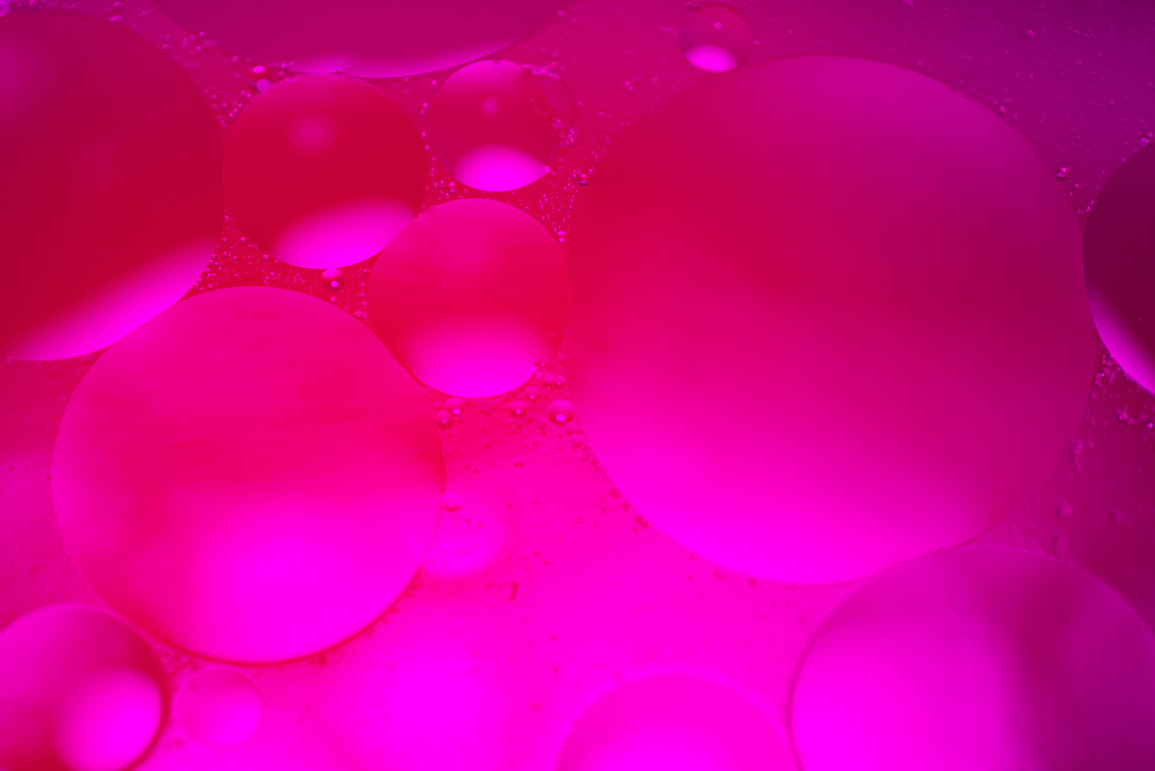 Petri Oil 12