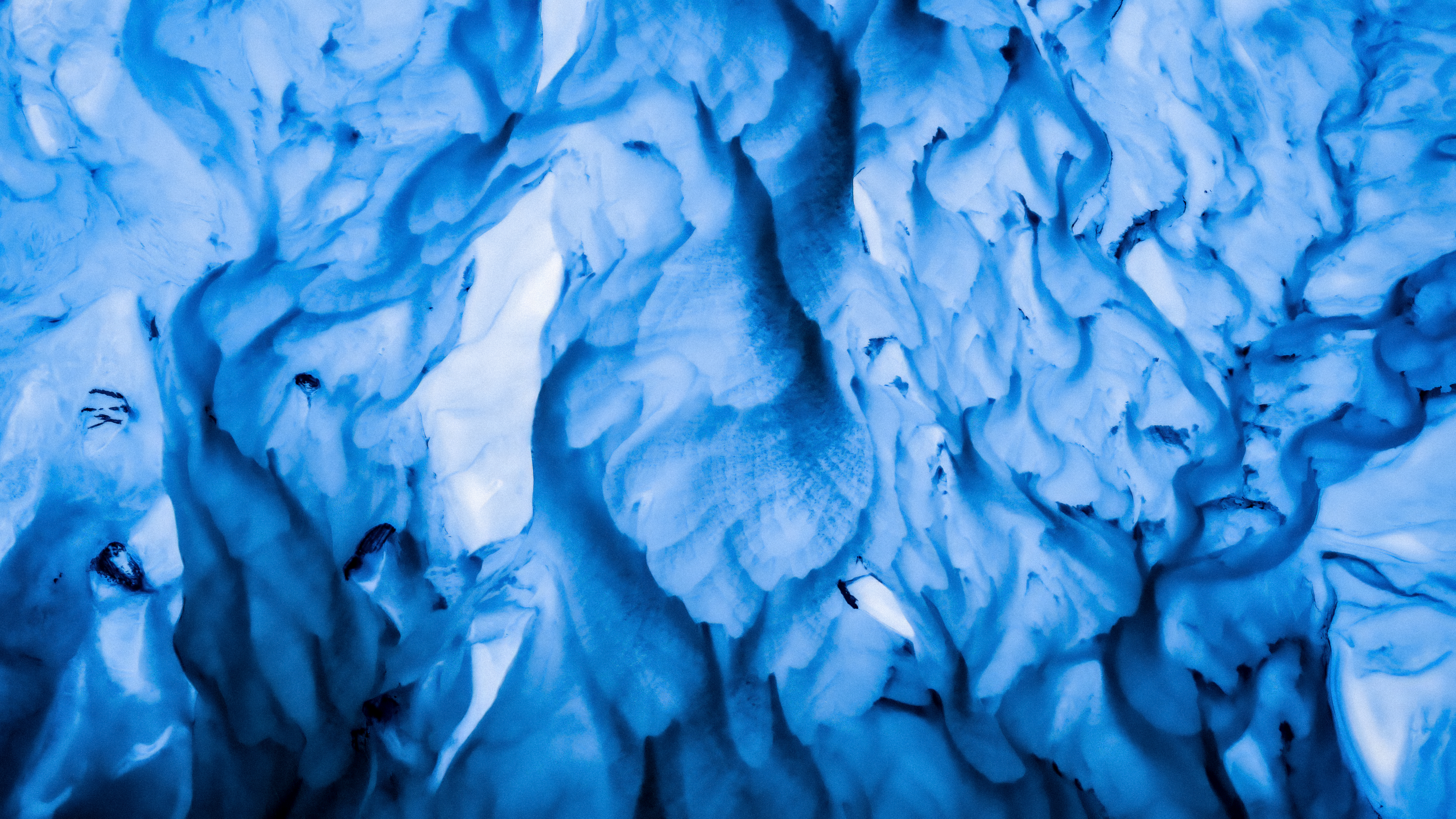 Blue Blood