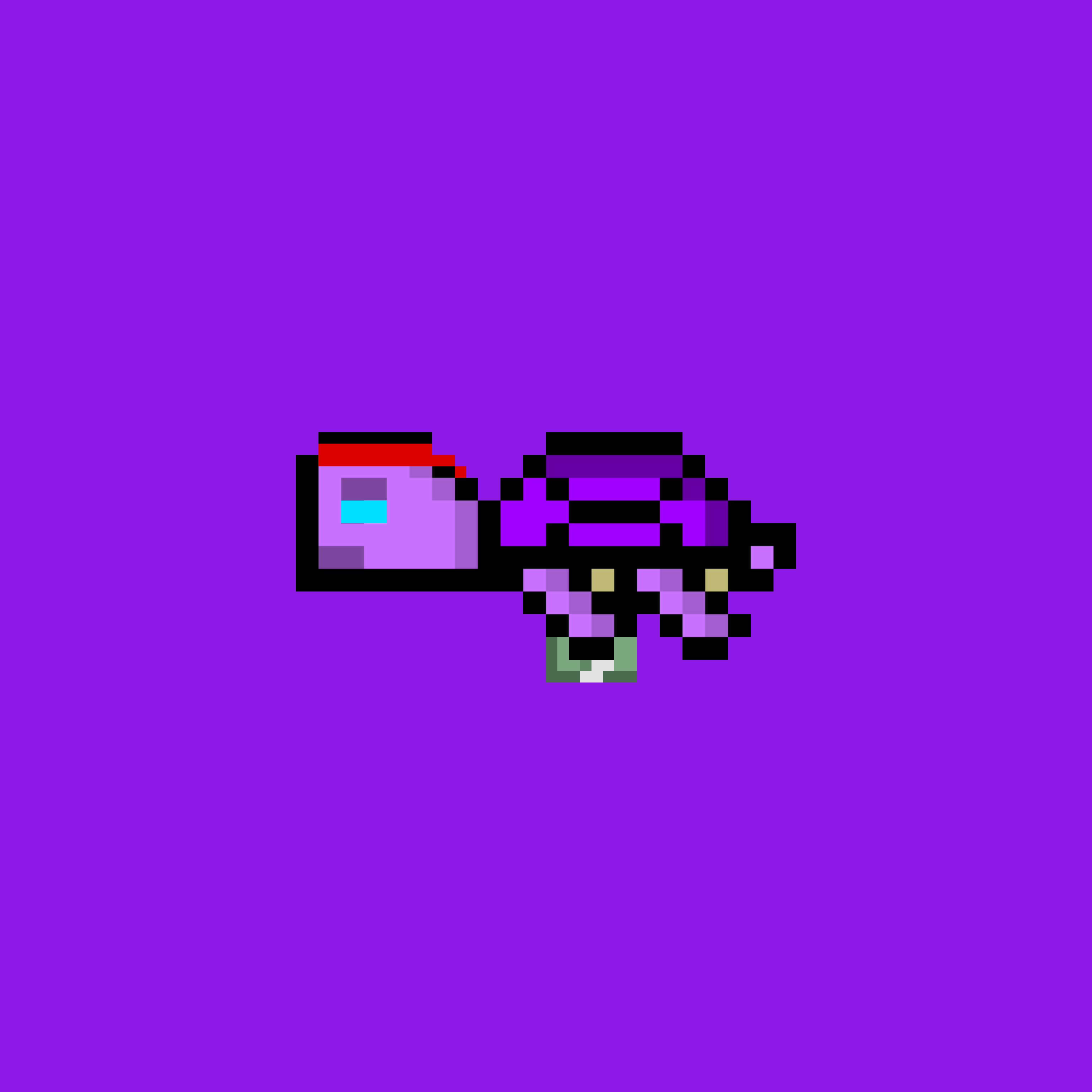 DAO Turtle #2716