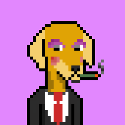 ViralataFunk #3892