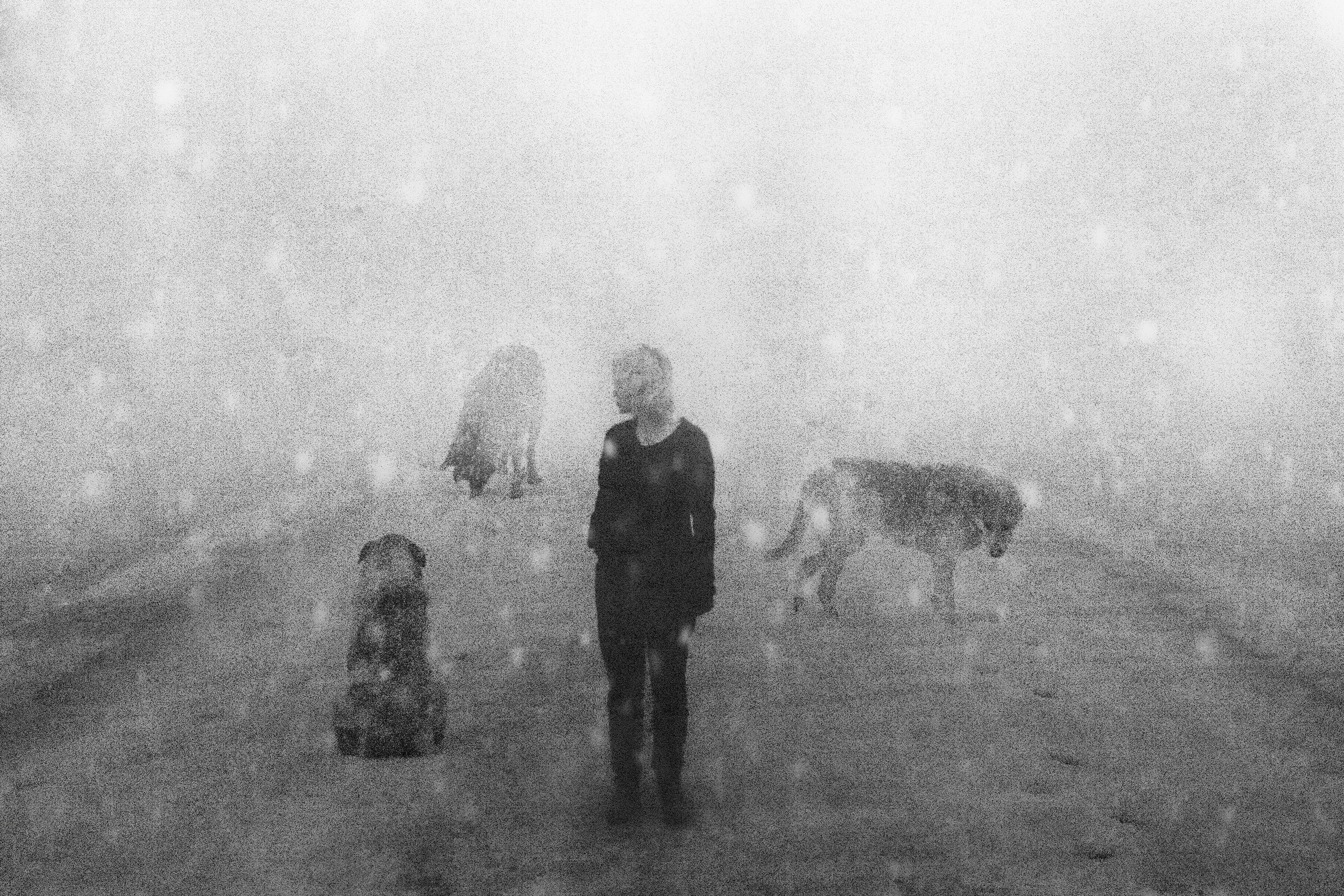 Melancholia