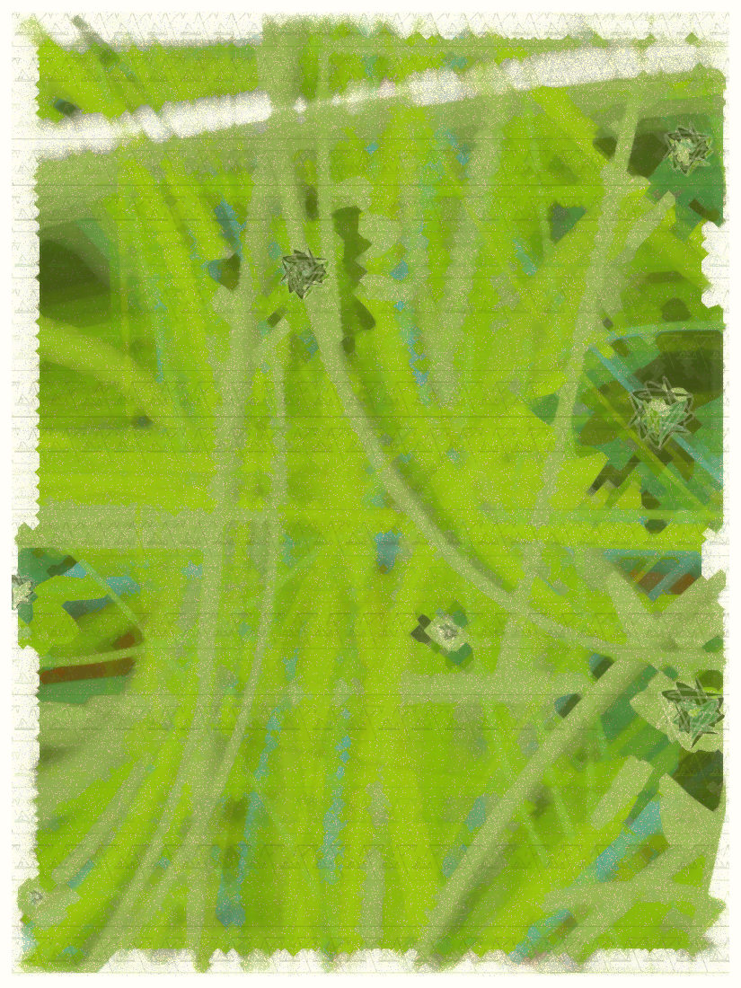 SKY MEADOW #281
