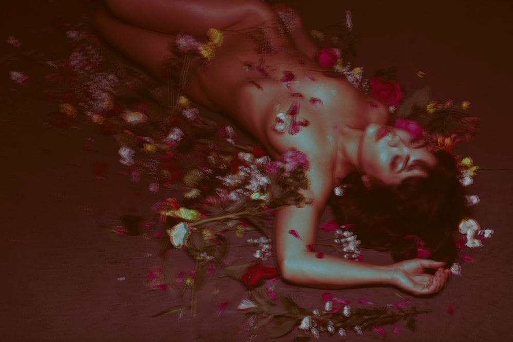 Petal Poetry