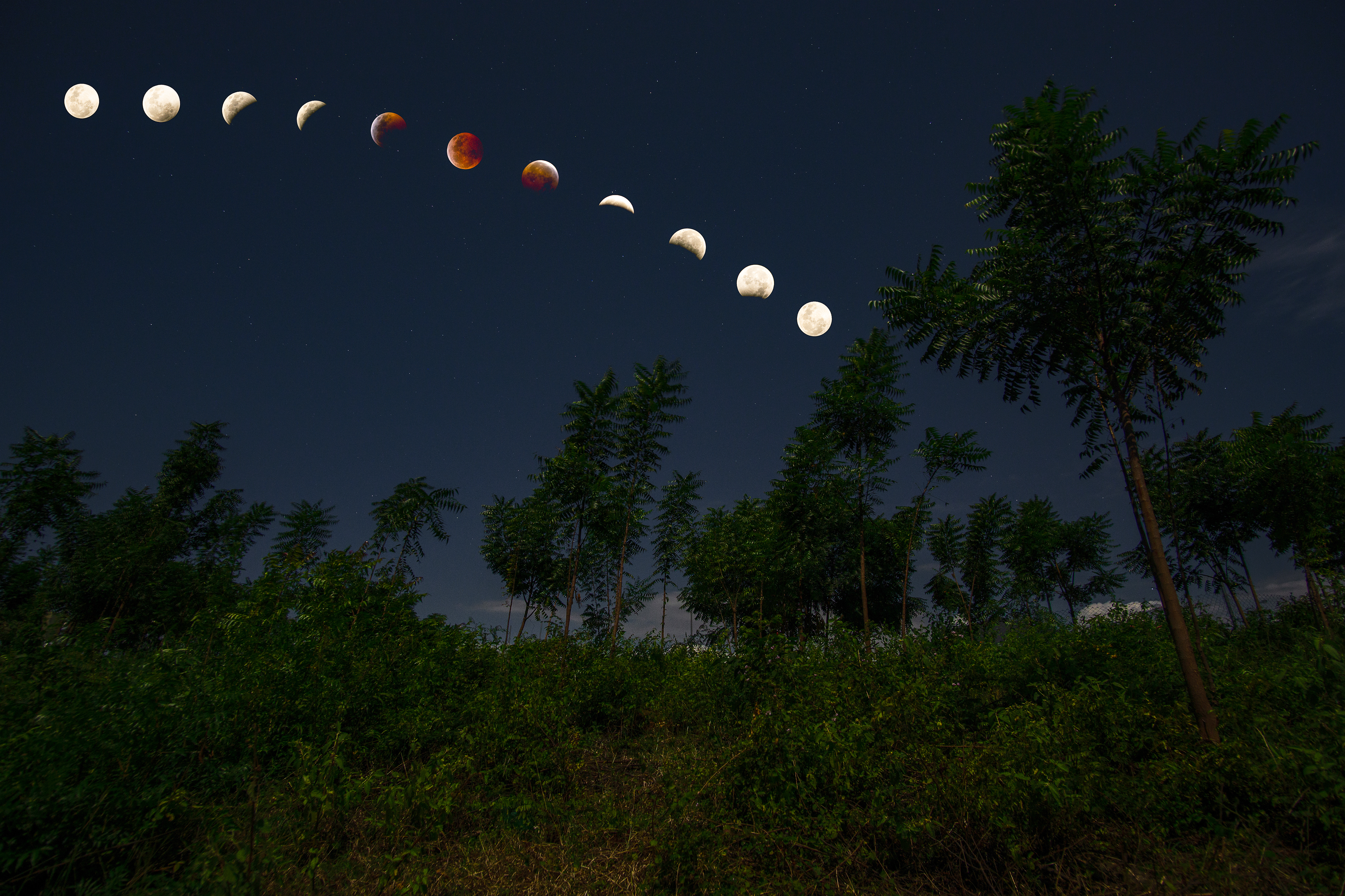 Blood Moon