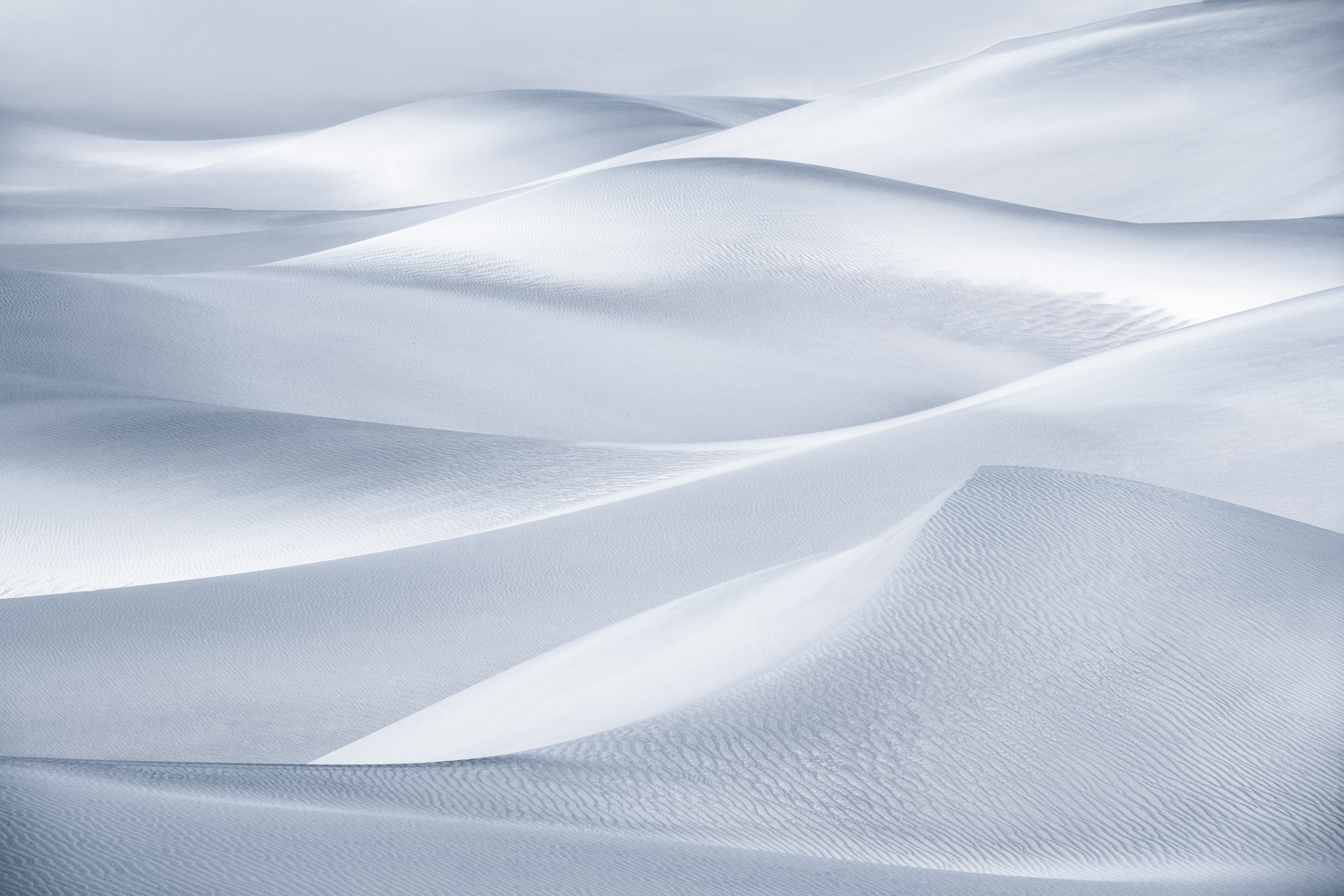 Silver Surf