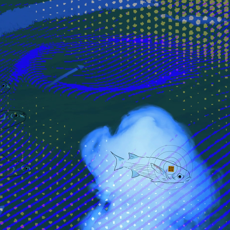 OOzy (study for Oceans Like Us: Wet Logic) #6