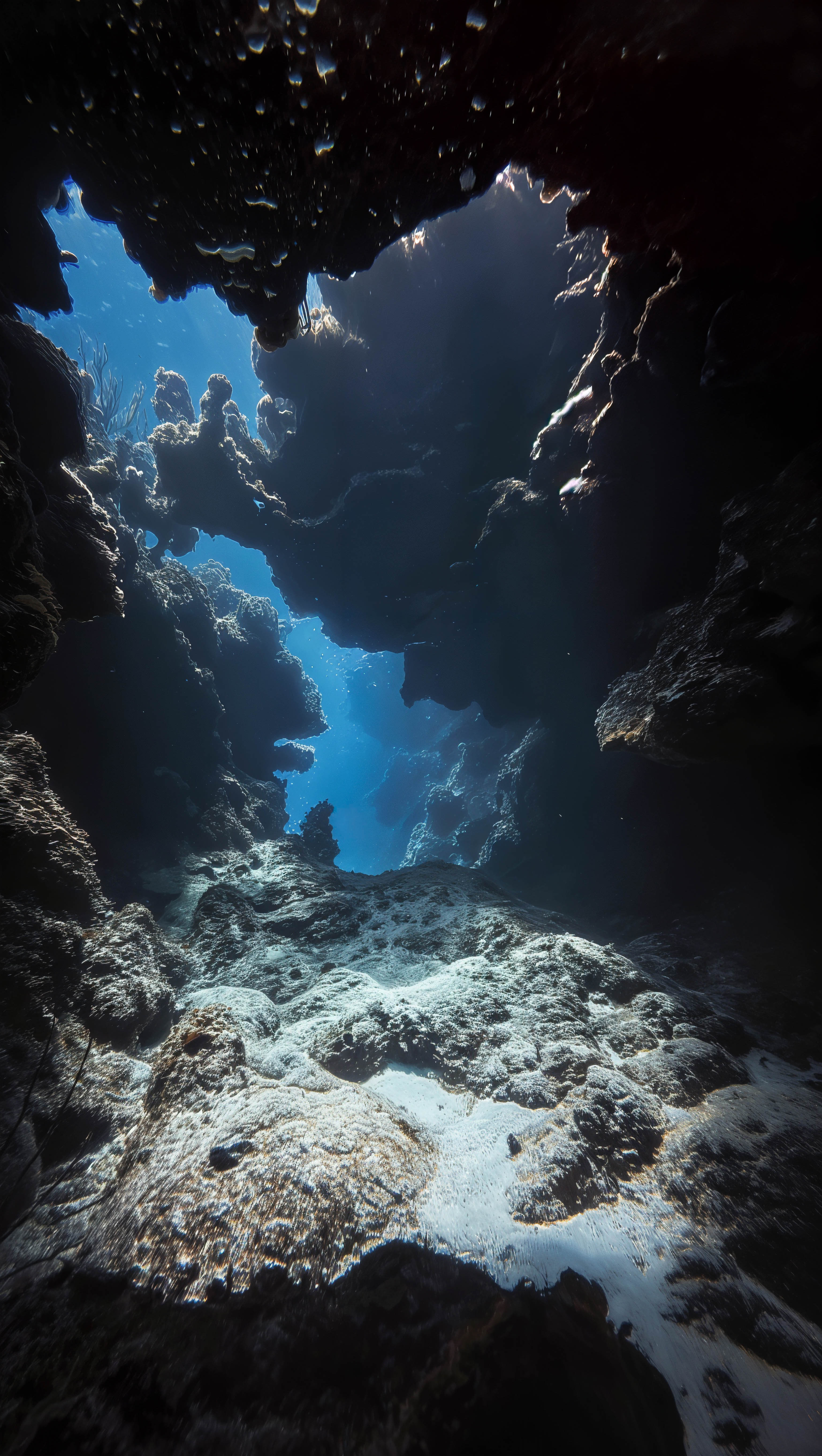 Portal to the Deep