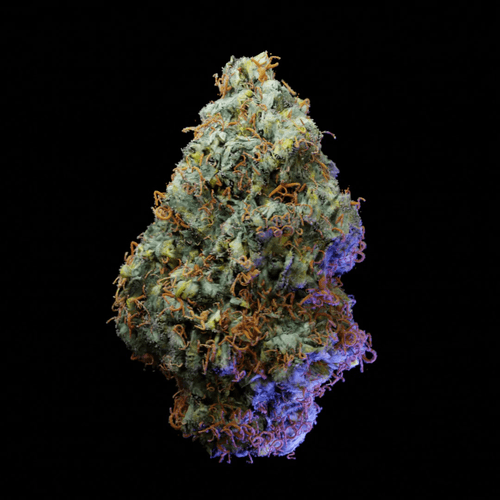 Apple Fritter