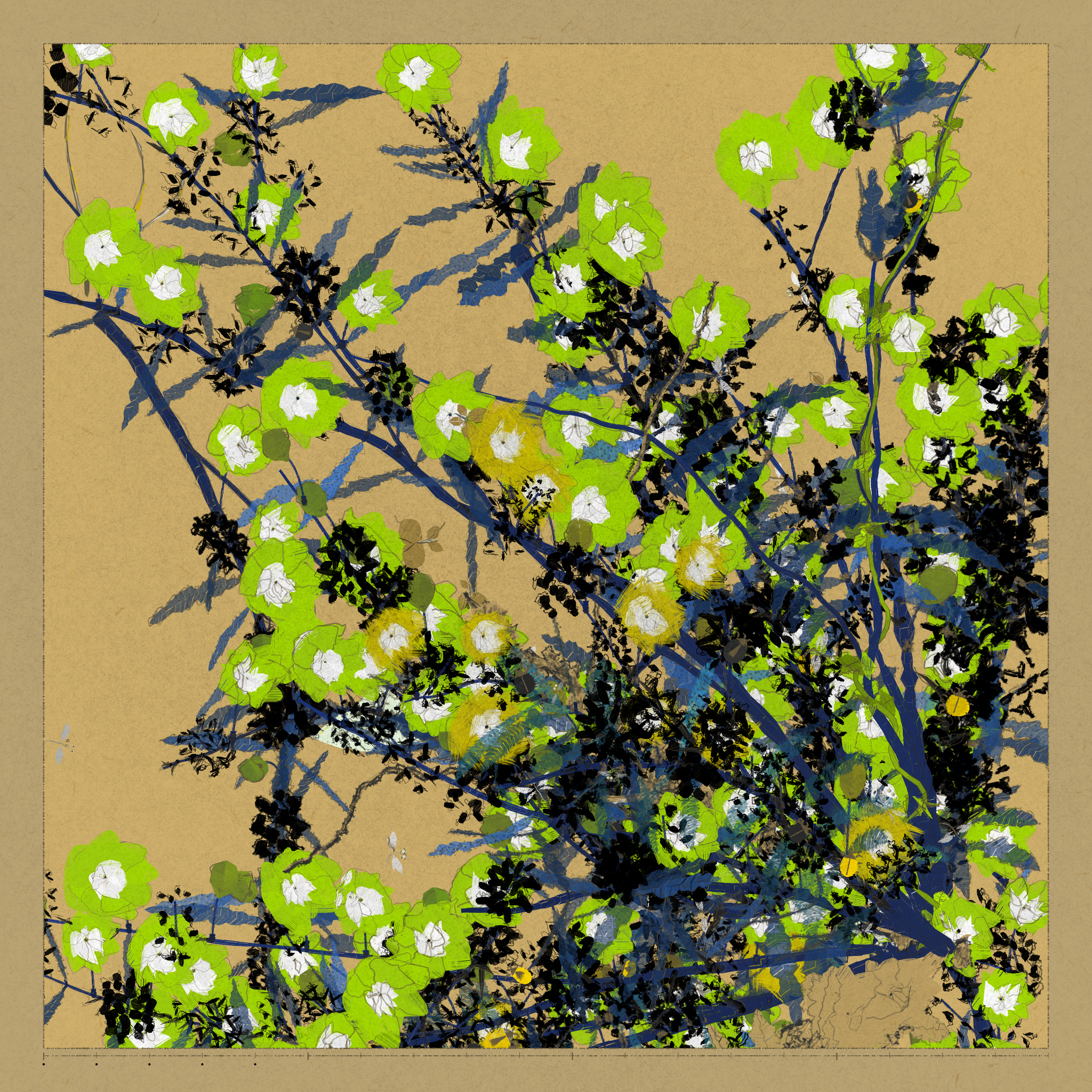 Polypaths | 植徑集 #563