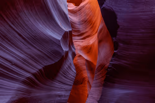 Arteries | Aaron Reed Photography