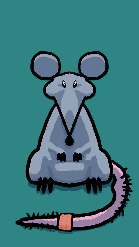 Beautiful Rat