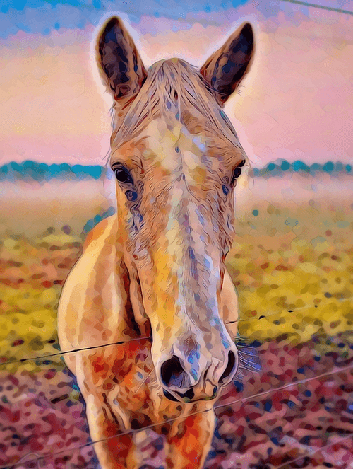 Horse
