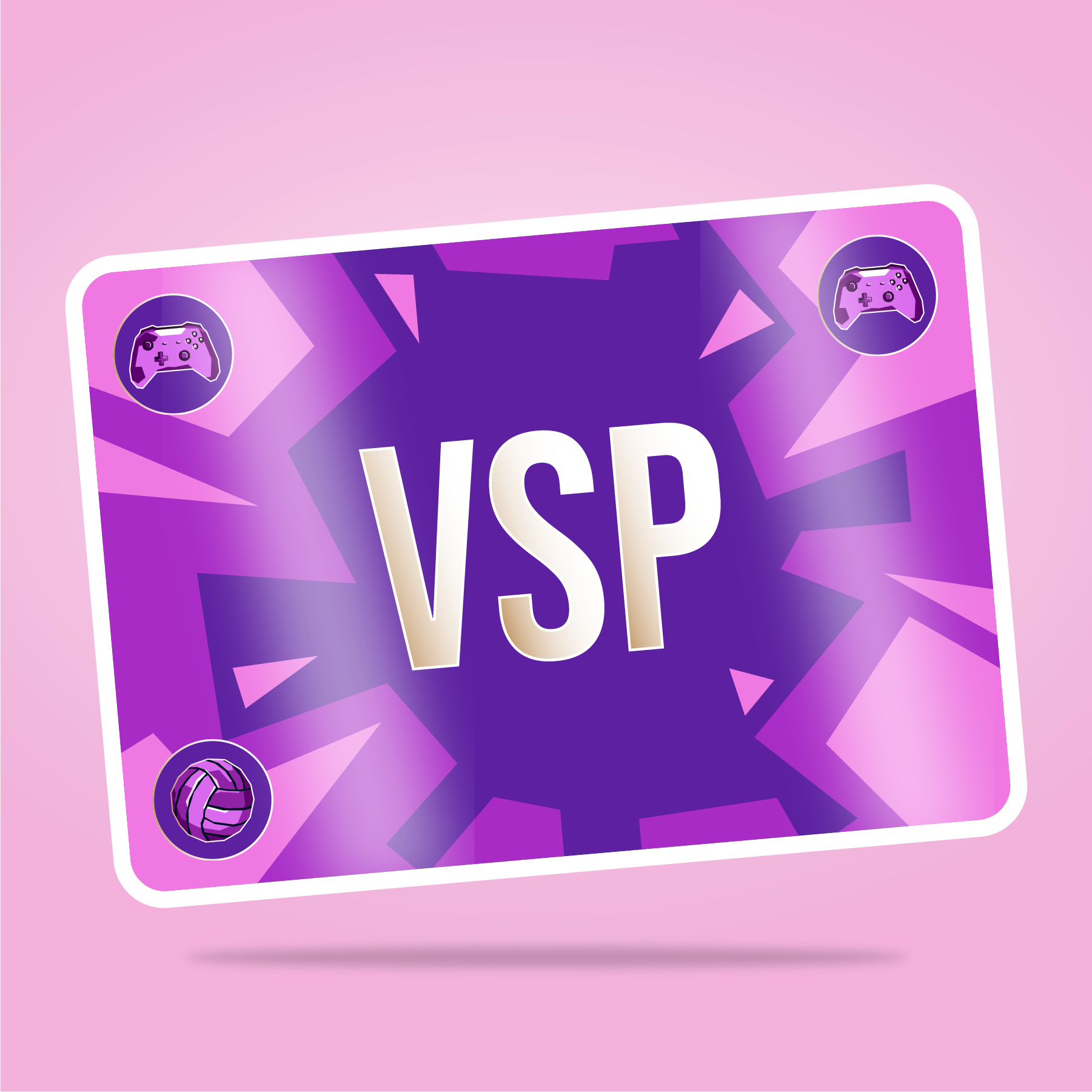VaynerSports Pass #14077