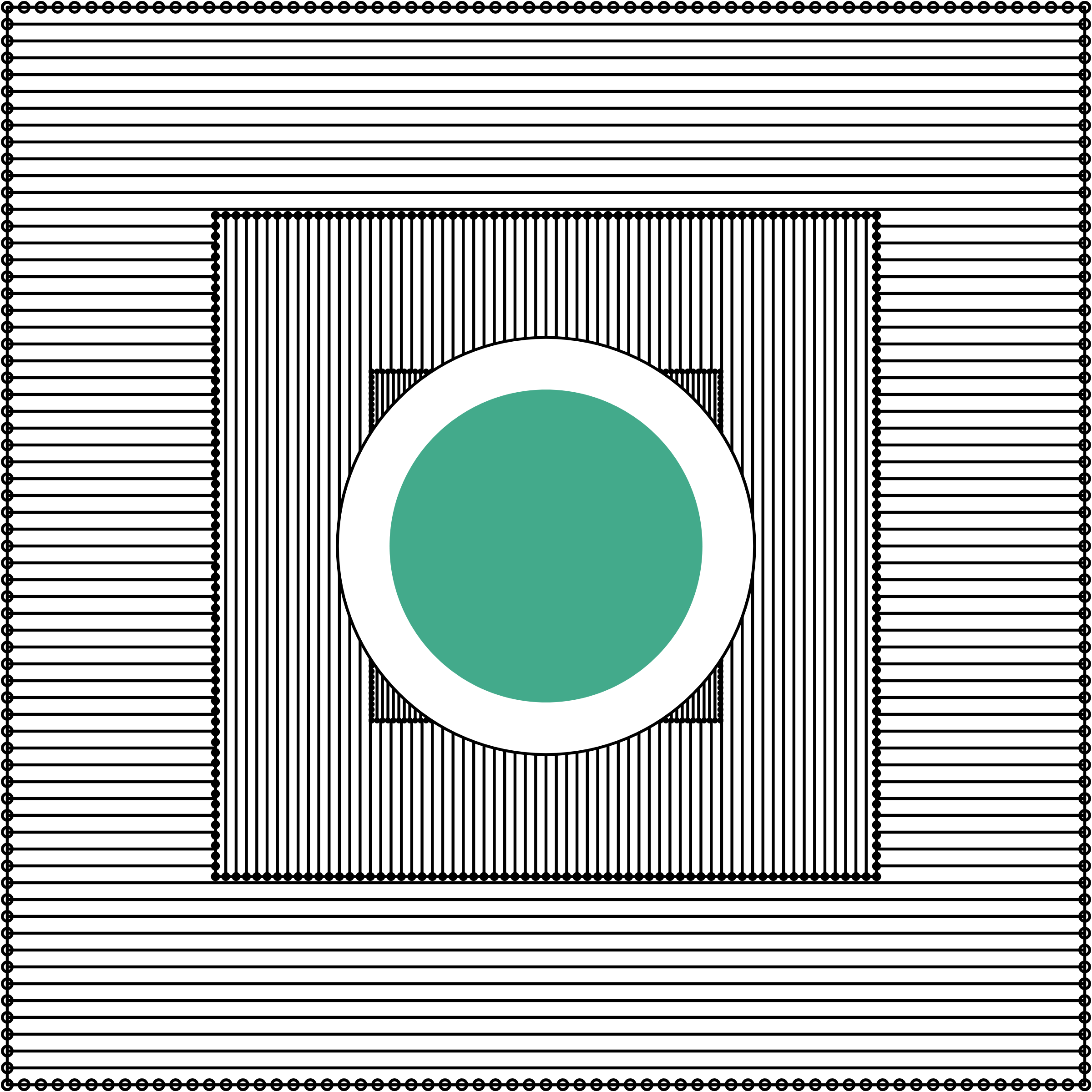 FOCUS #2