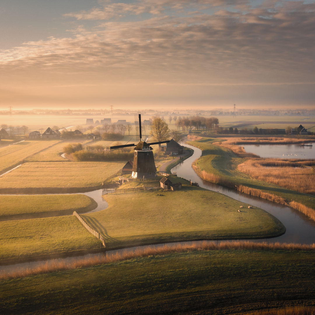 Morning Mill