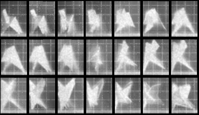 Chronophotograph 45