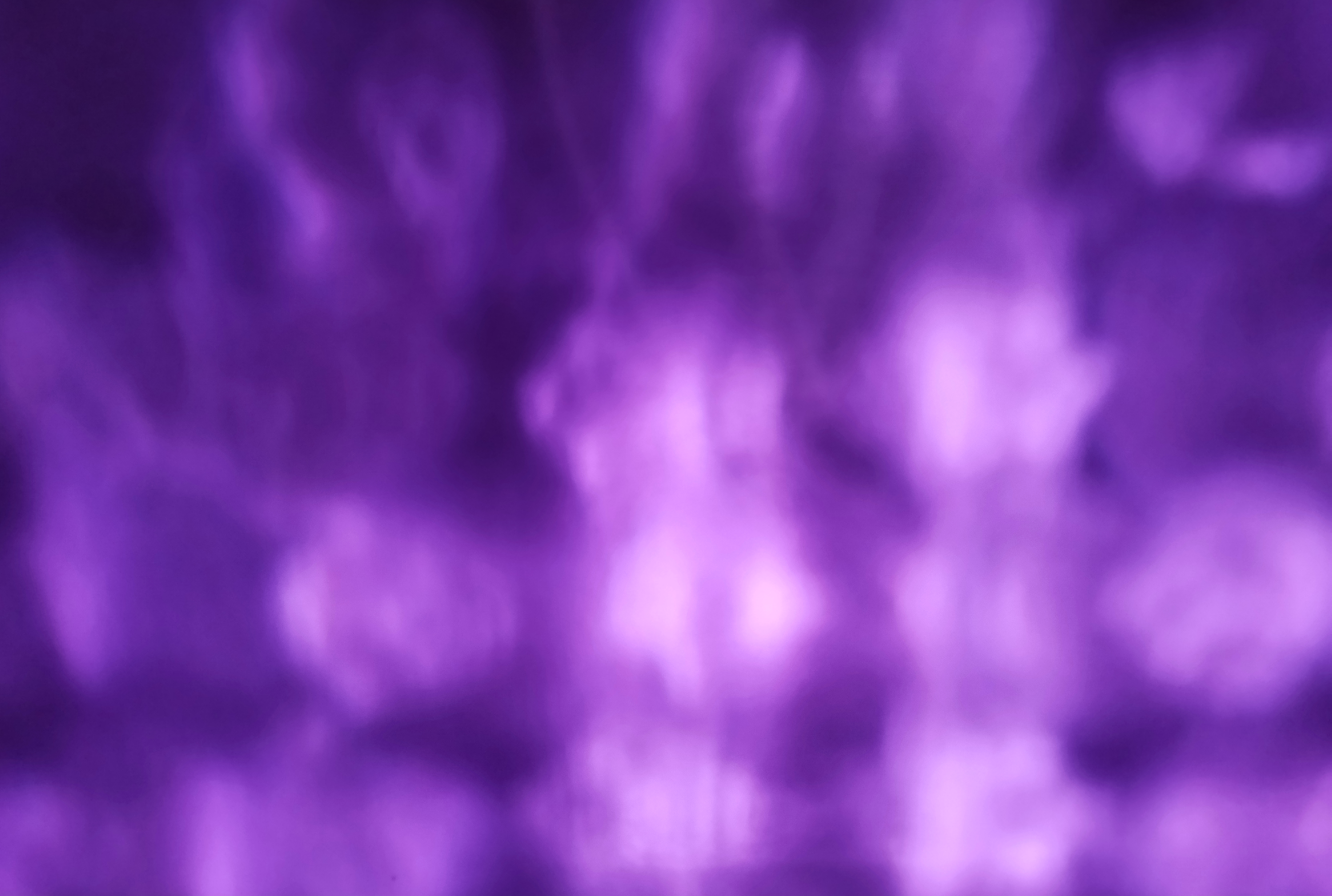 Portal #43
