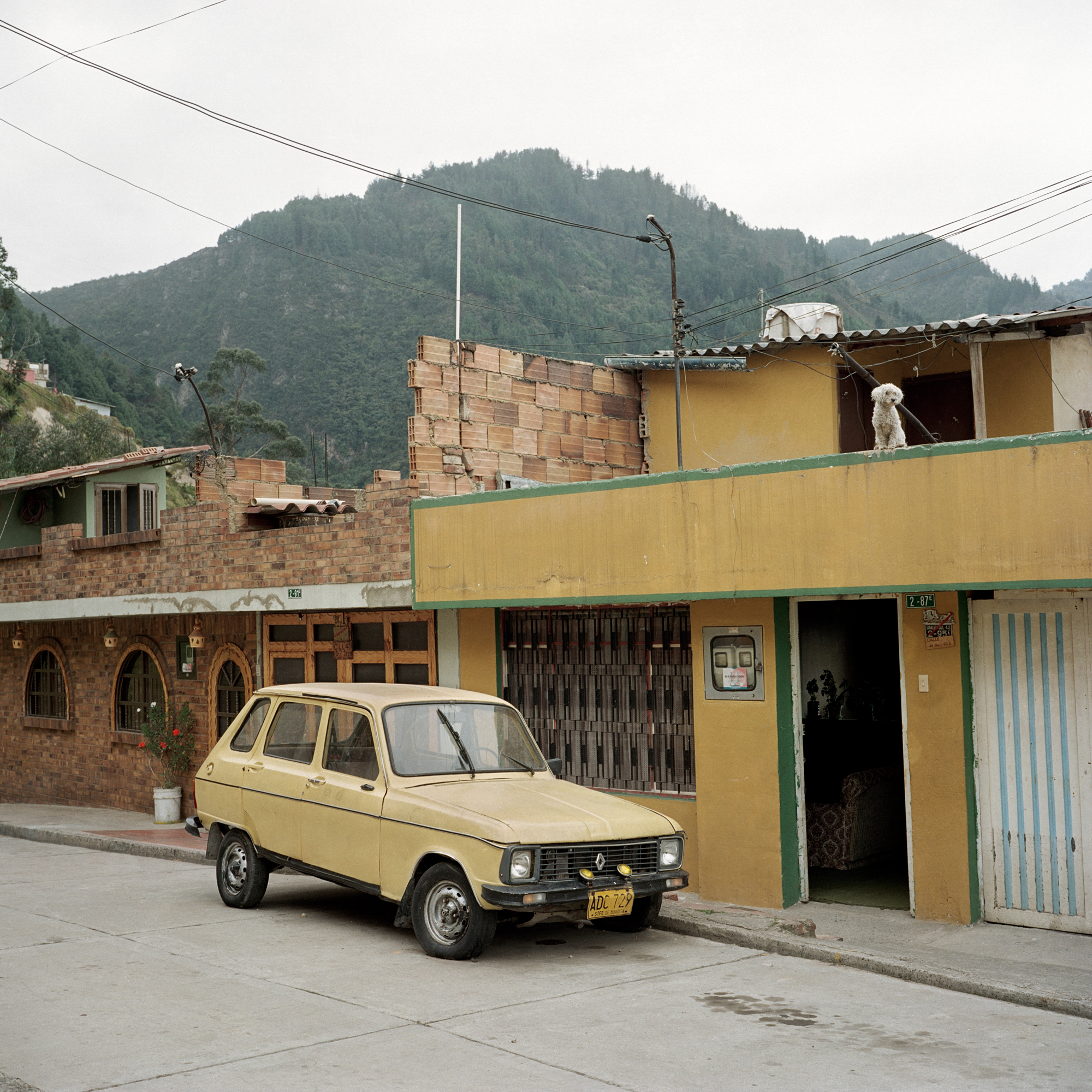 Dog Days, Bogotá #7