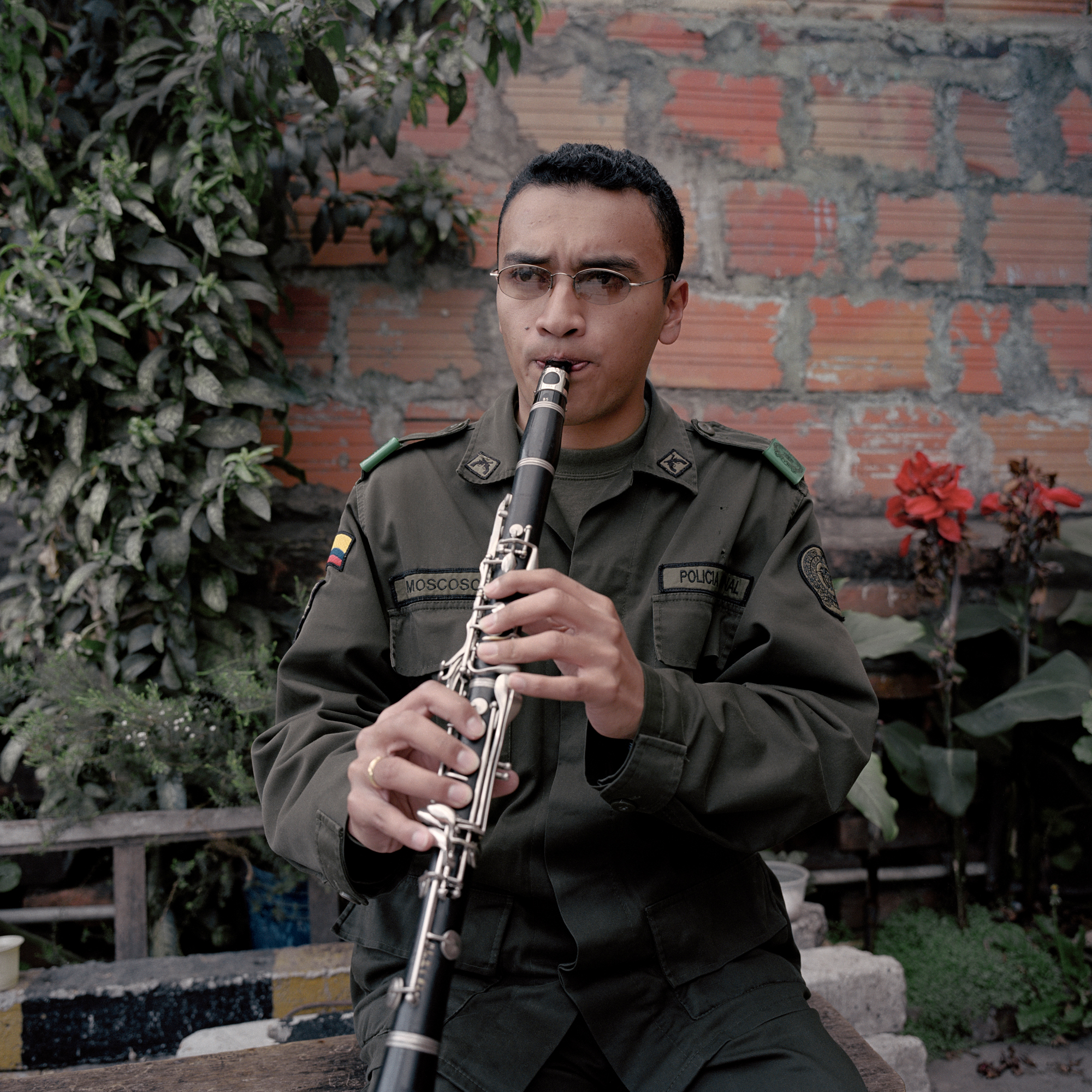 Dog Days, Bogotá #12