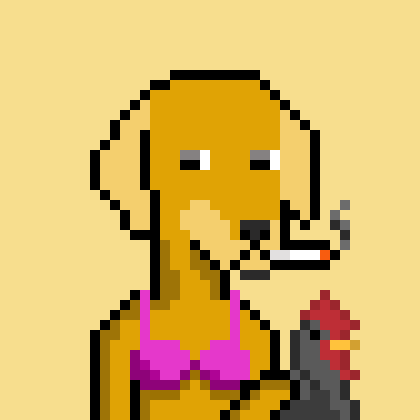 ViralataFunk #3898
