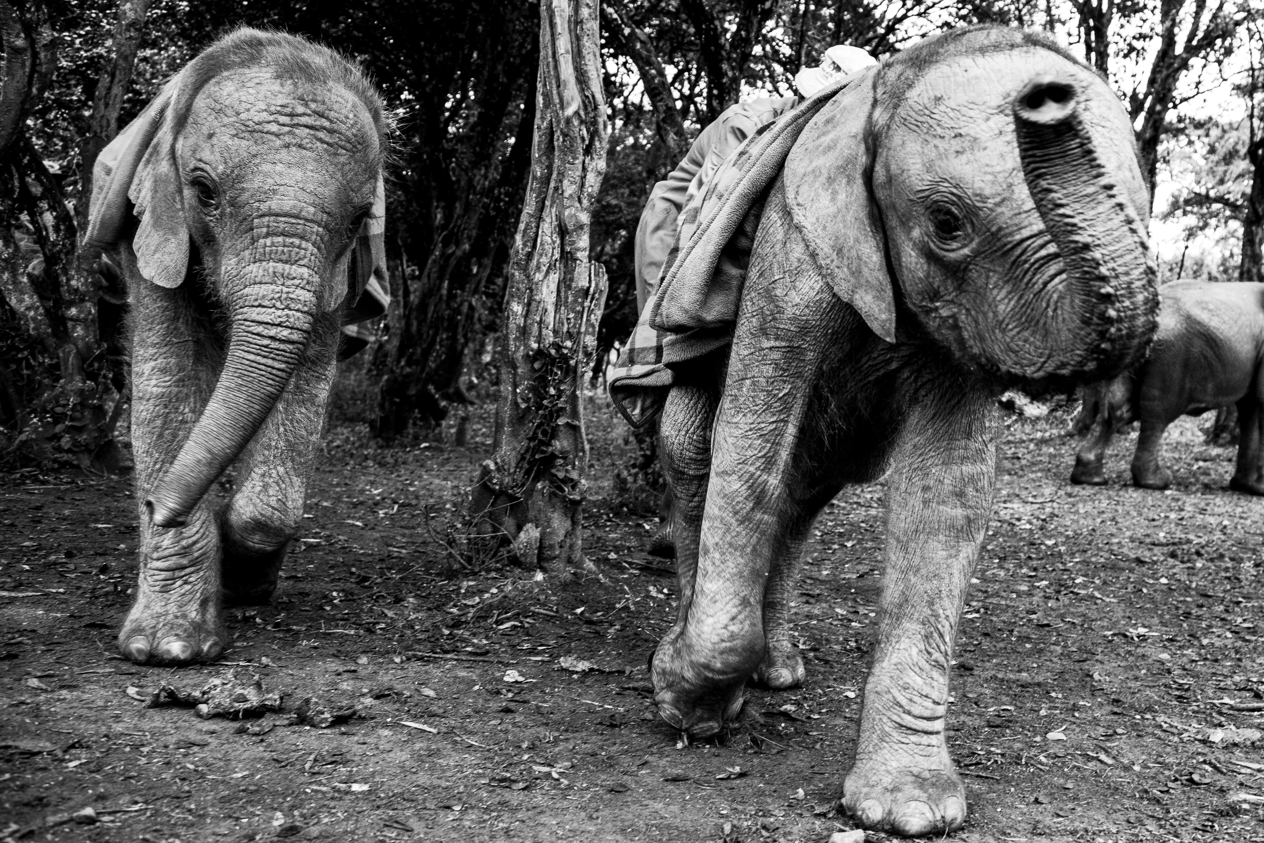 B&W Africa - #17 - Play Time