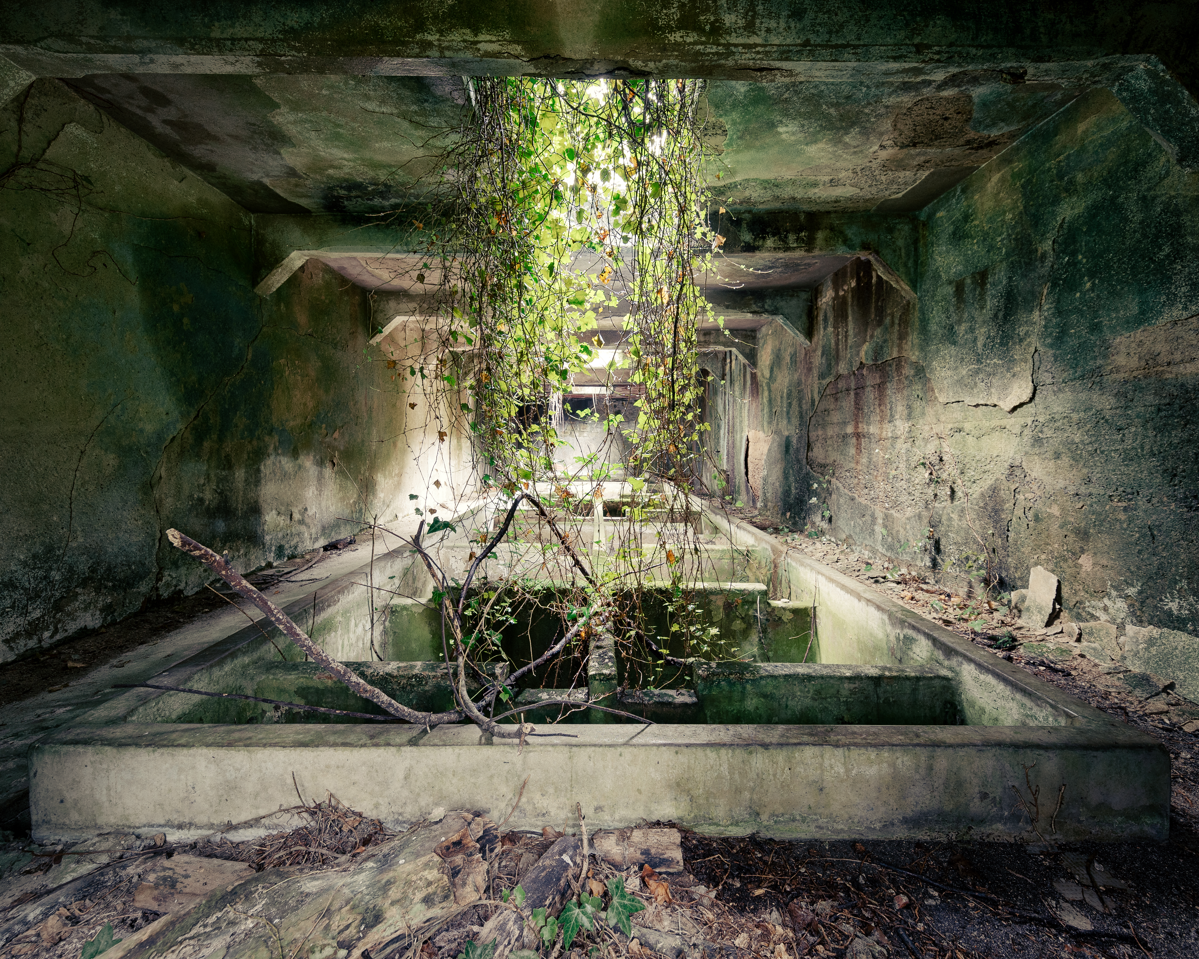 UNDERGROUND
