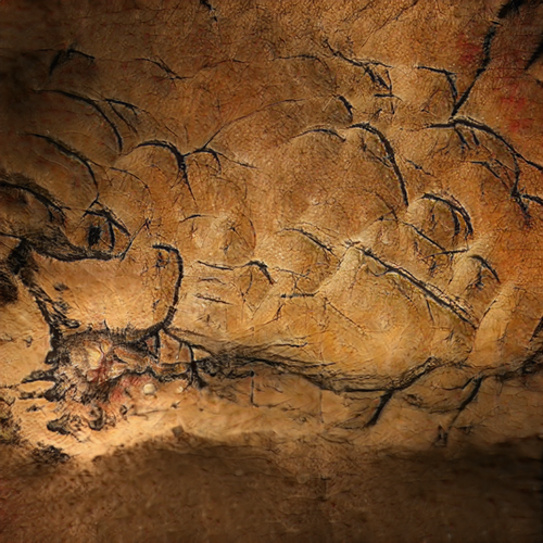 CAVE 020