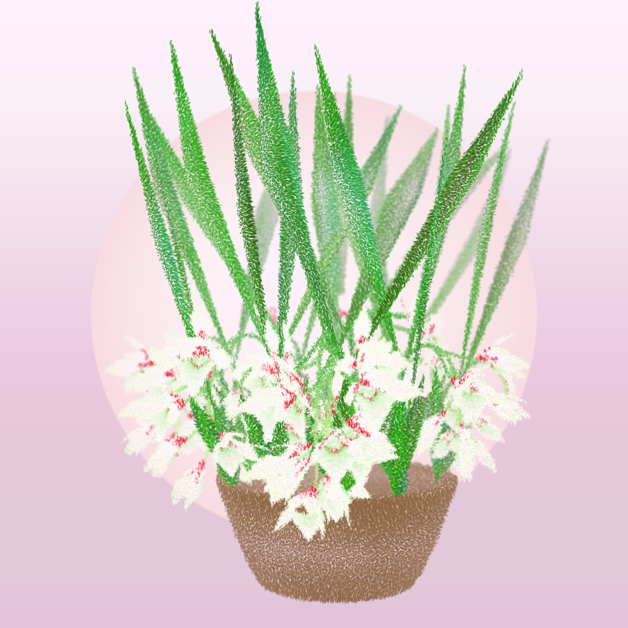 Cattleya #156