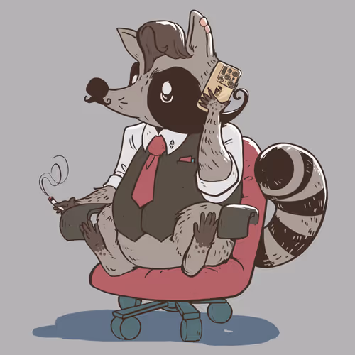 04 Adult Raccoon