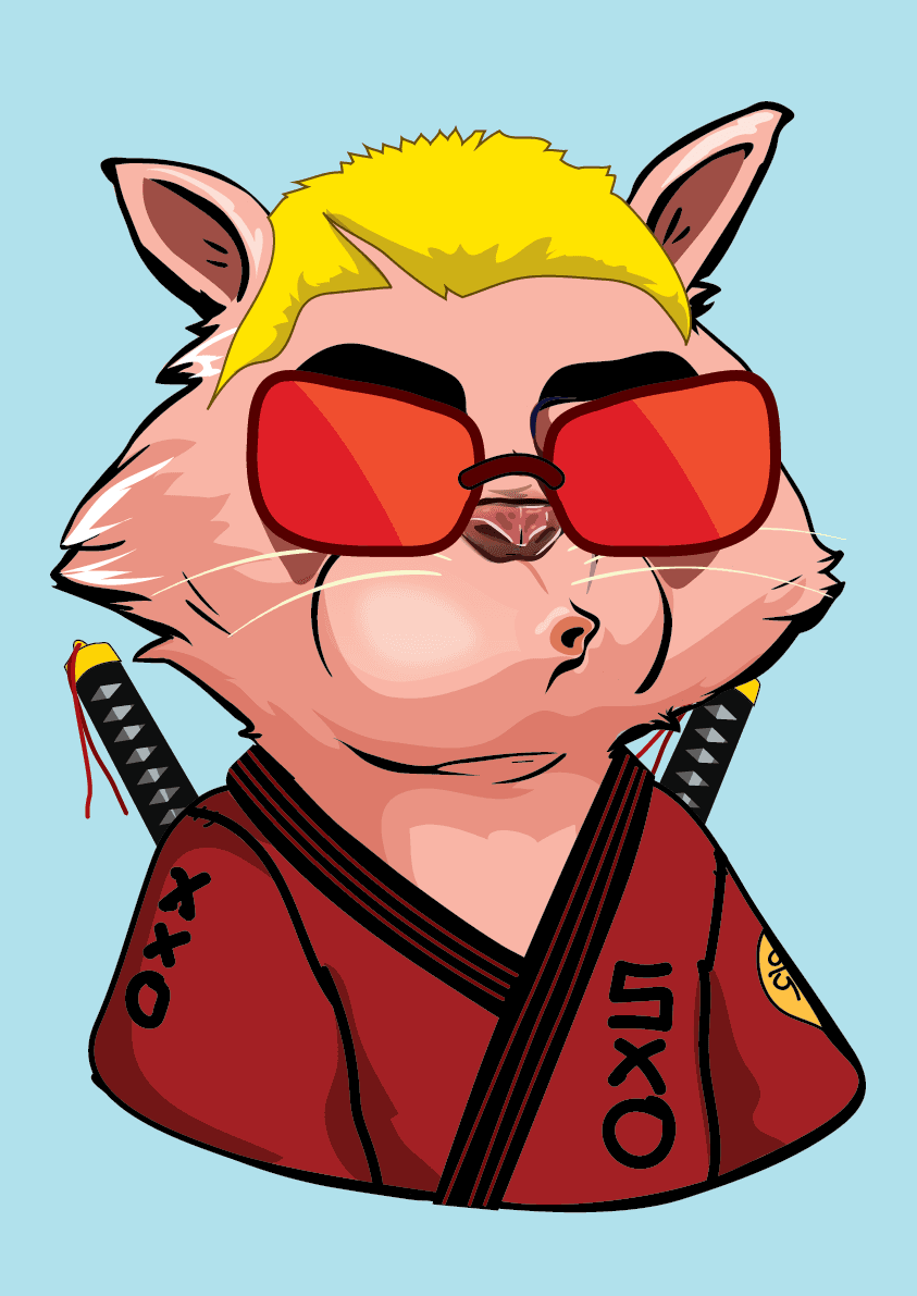 Raccoon-401