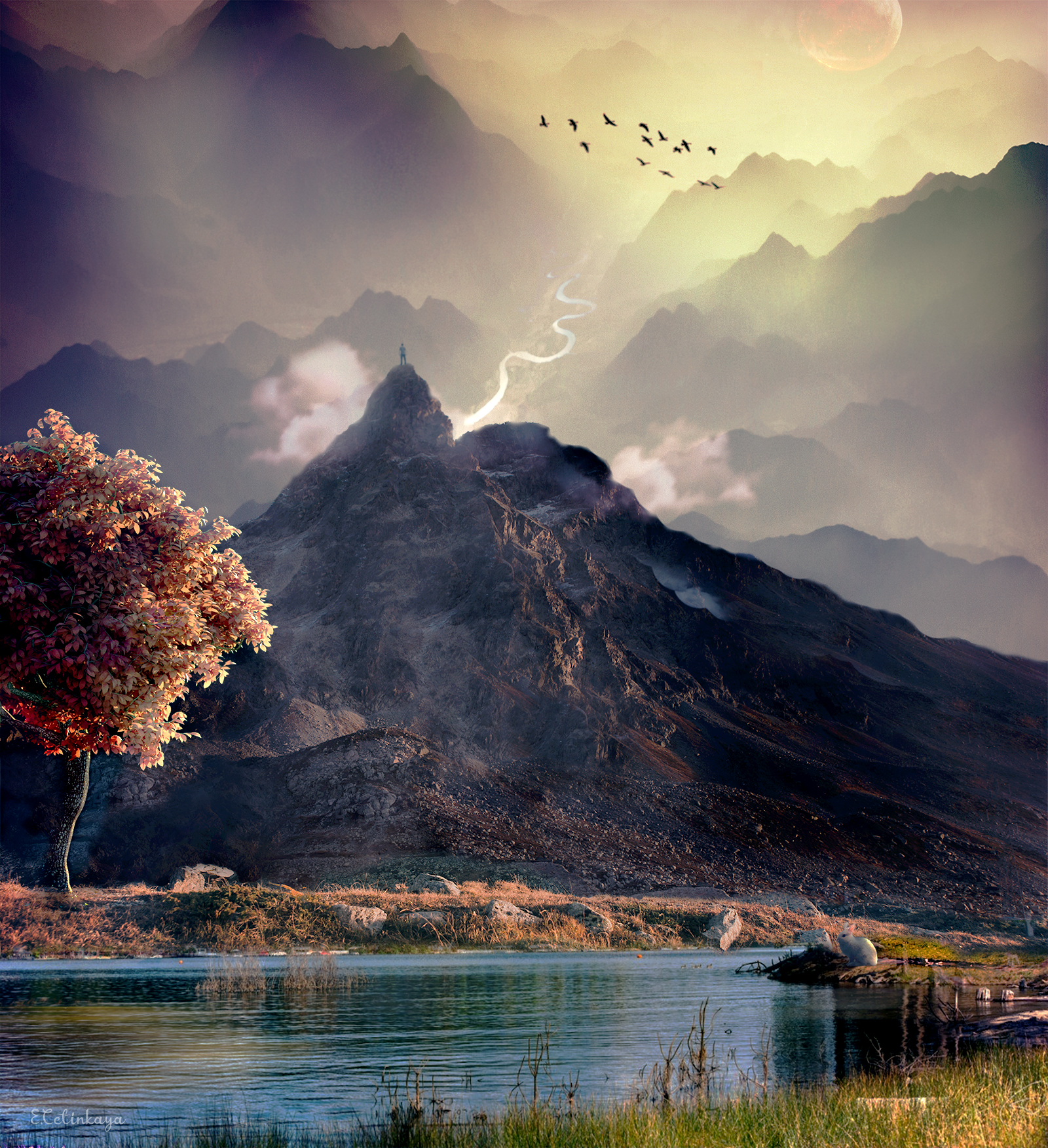 Loneliness