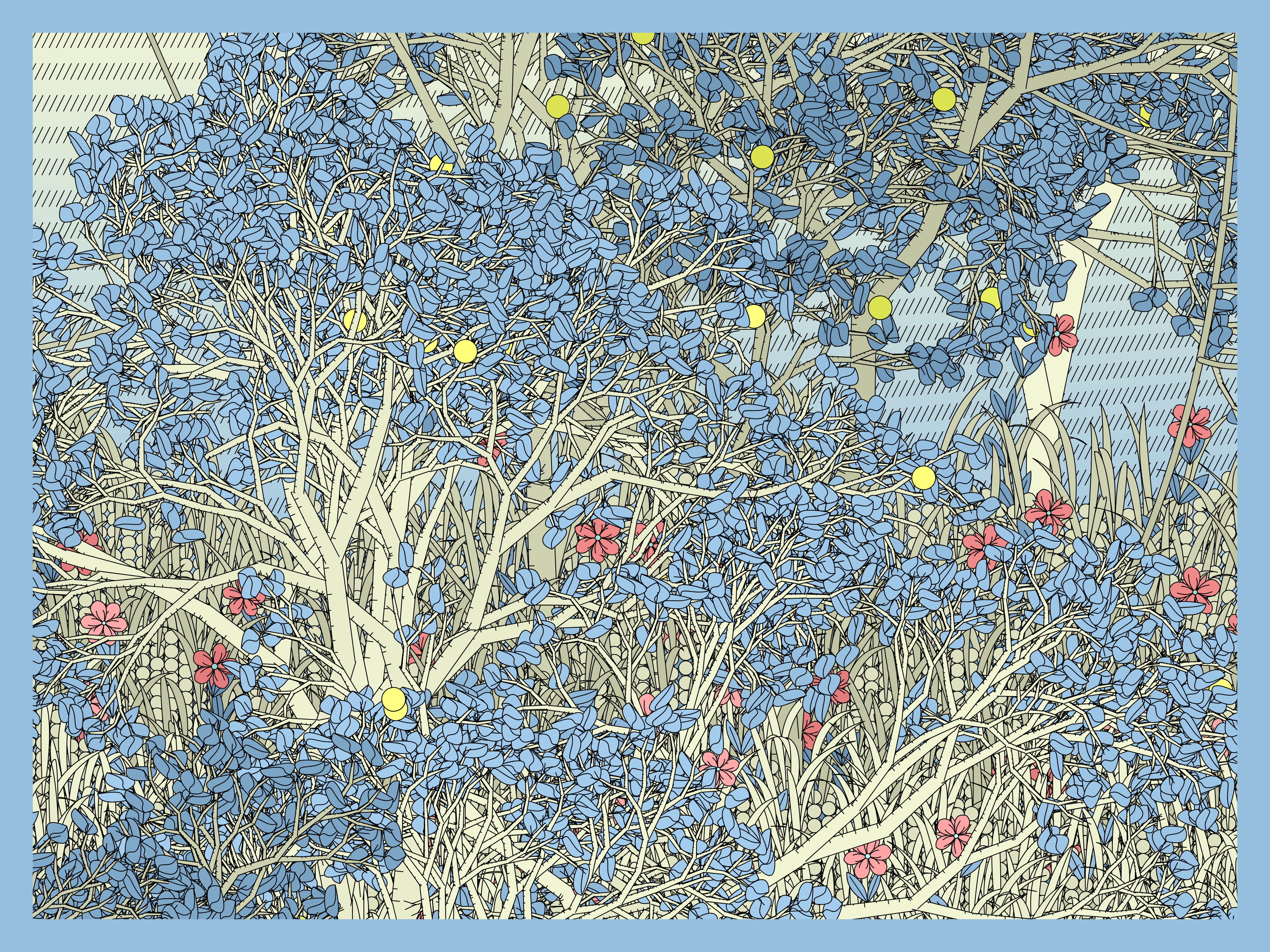 Entangled #7