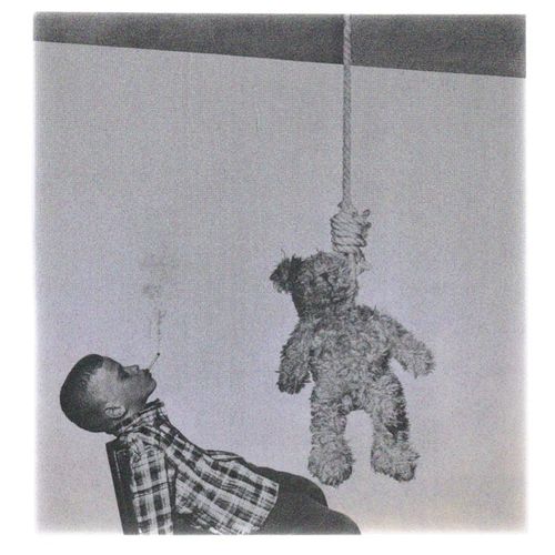 bears are  fucked