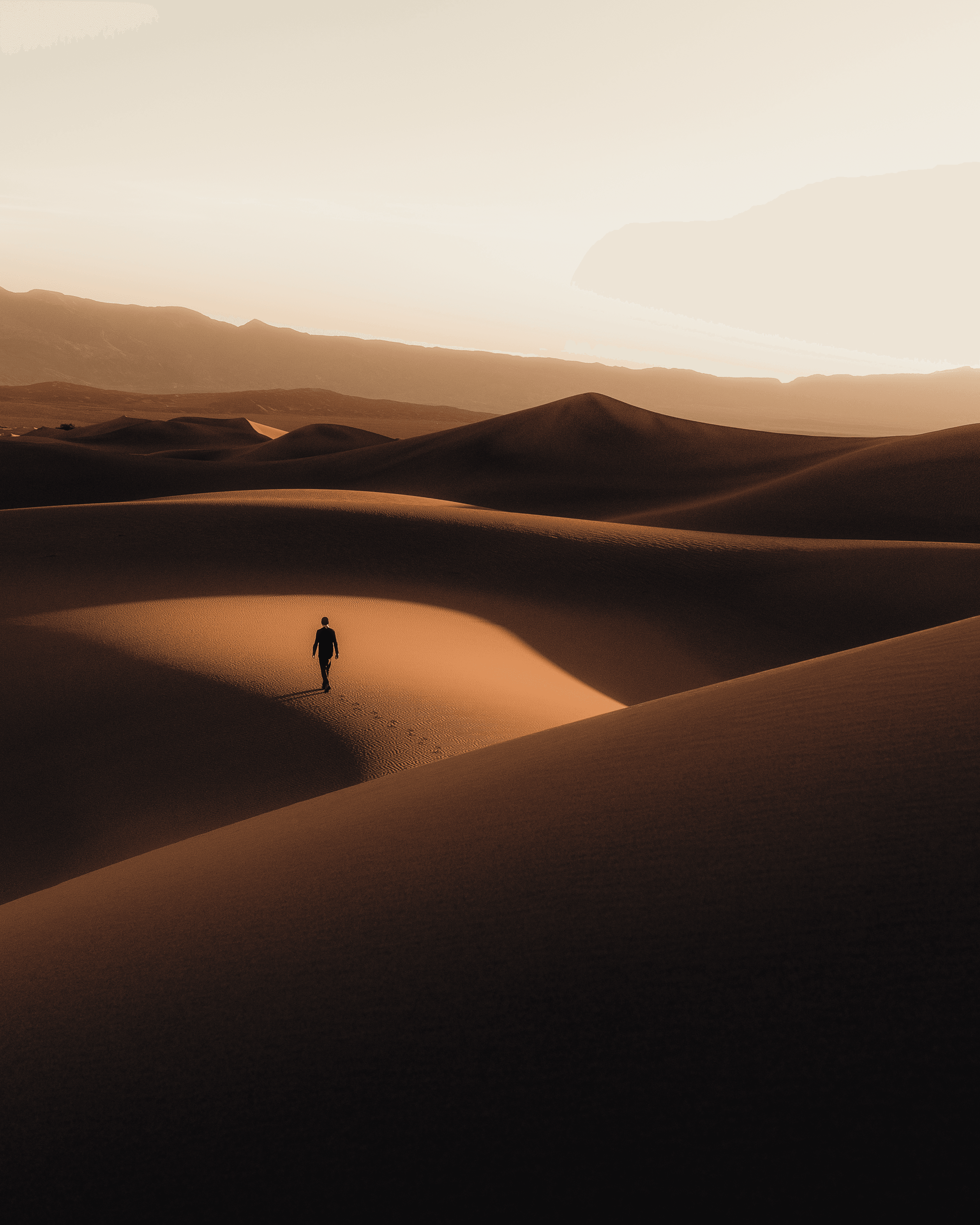 Dune: The Collection #14