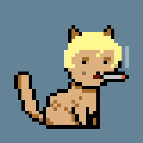 PunkCat #4560