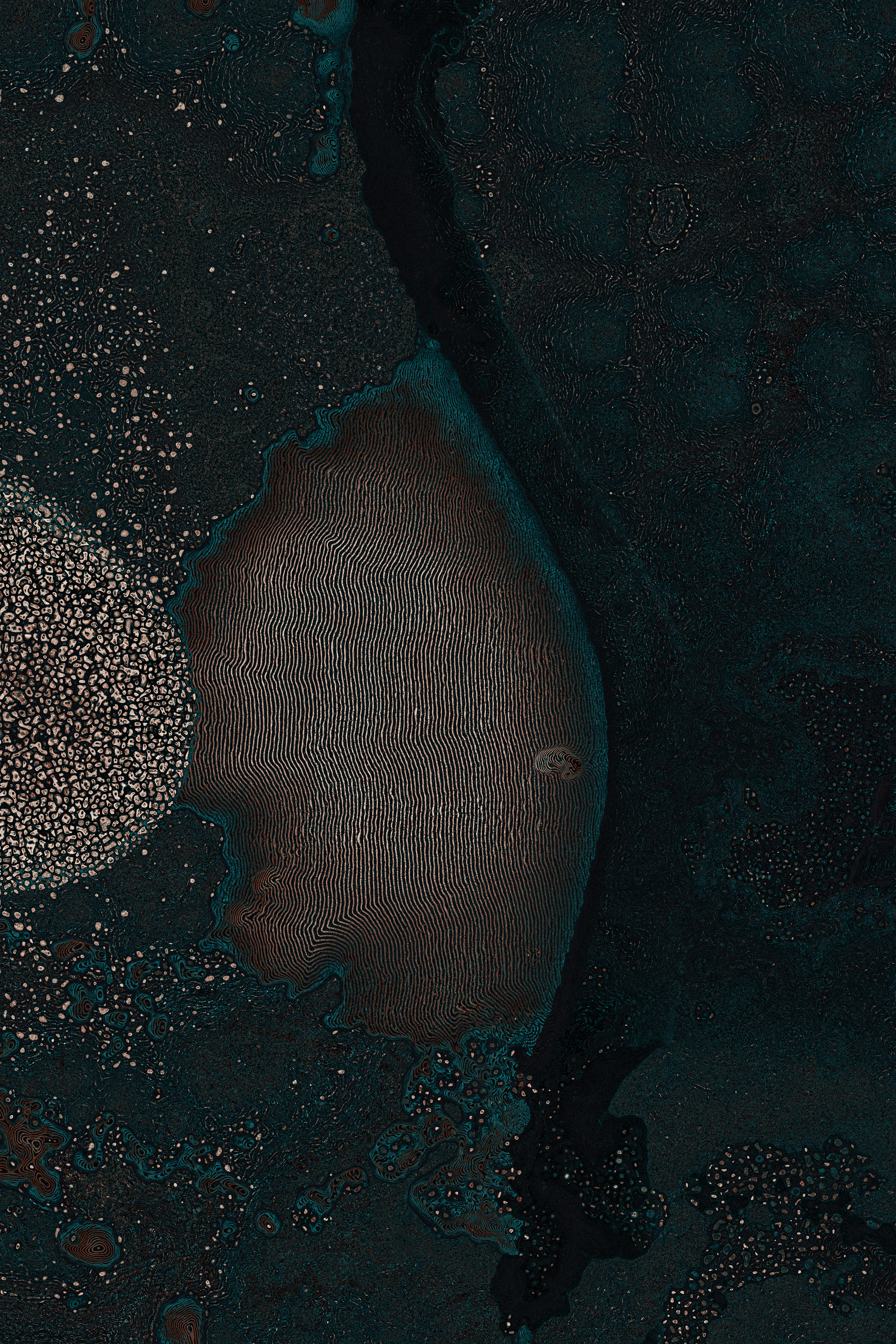 Dactylogram #76