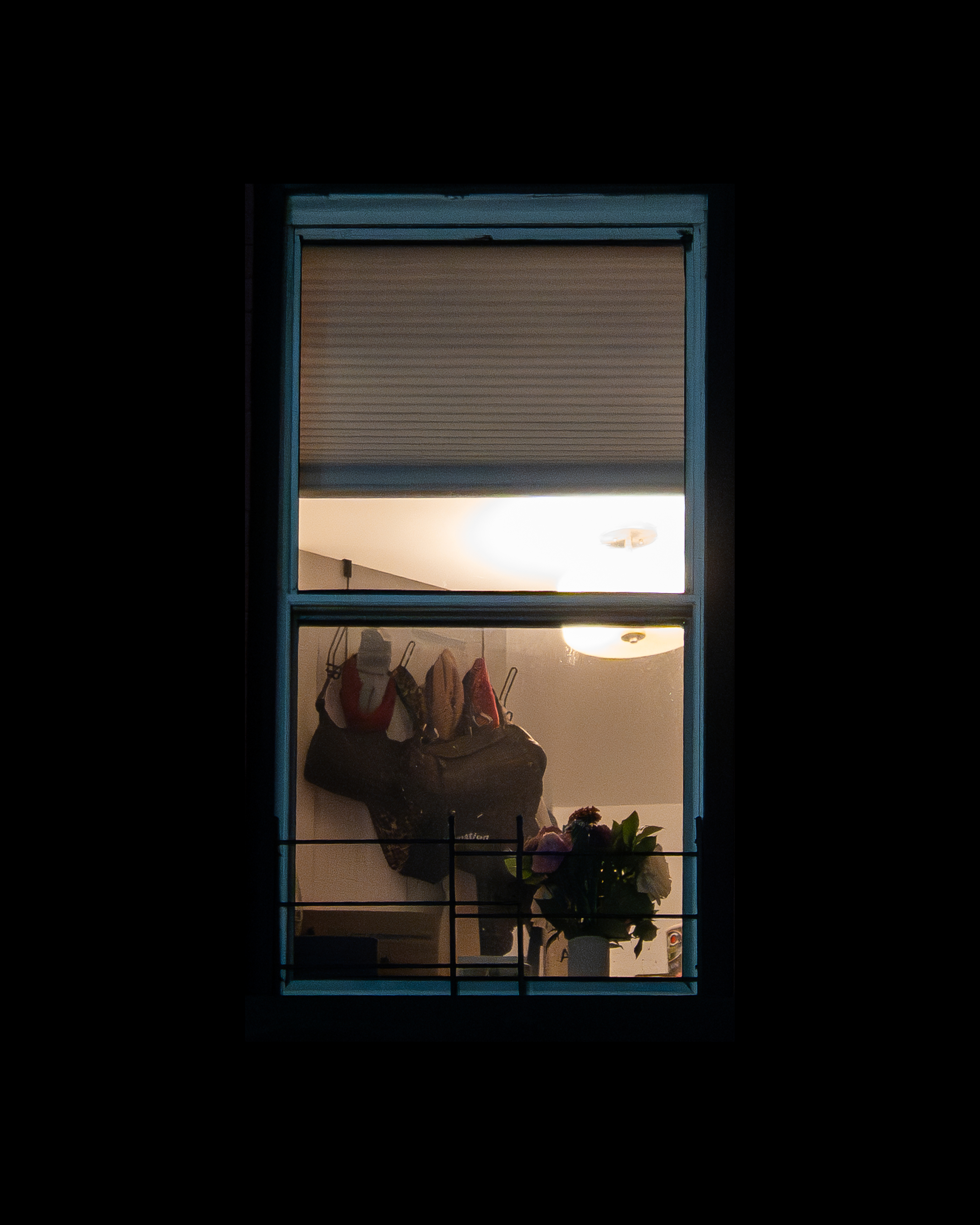 WINDOW 785