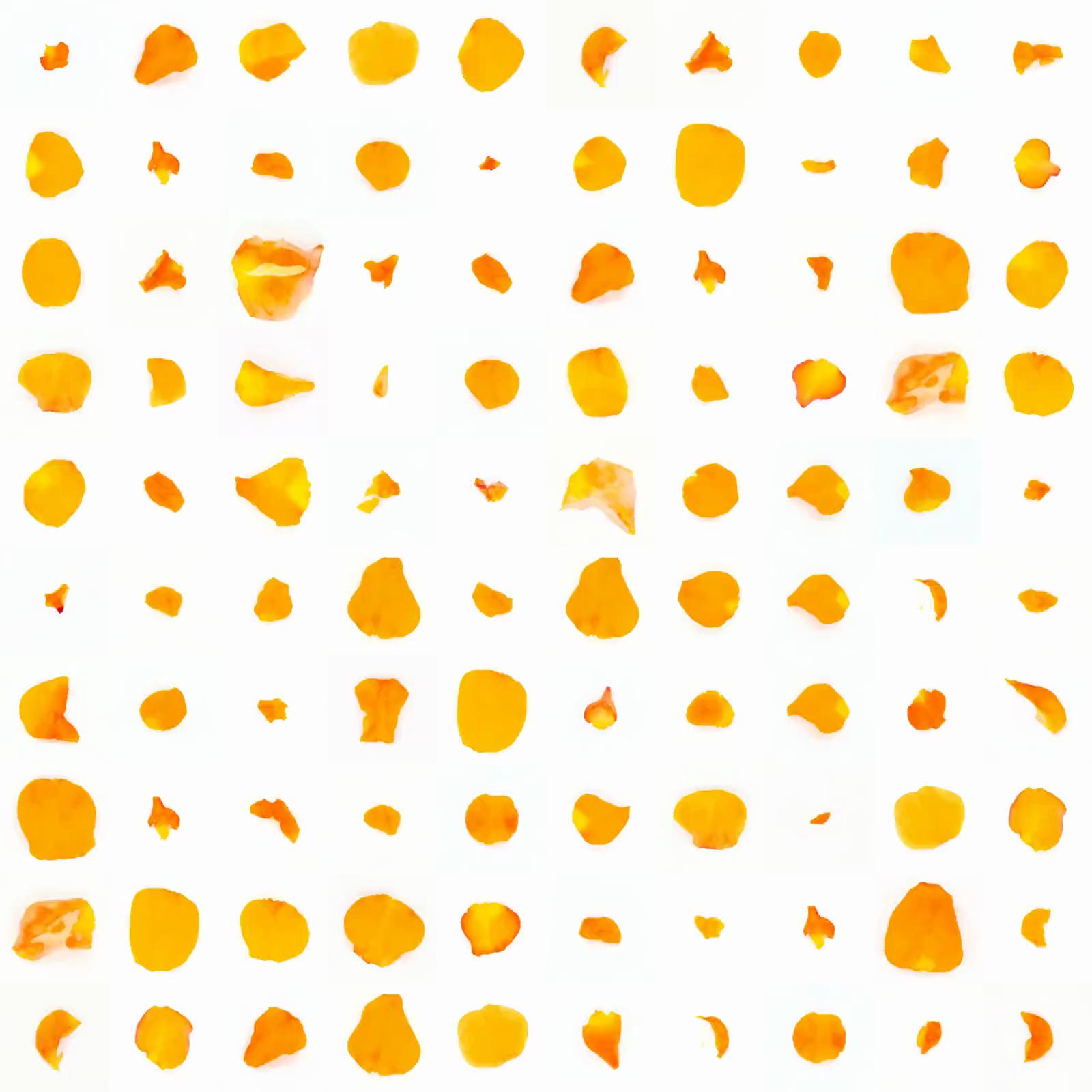 Infinite Petals 10x10#4216