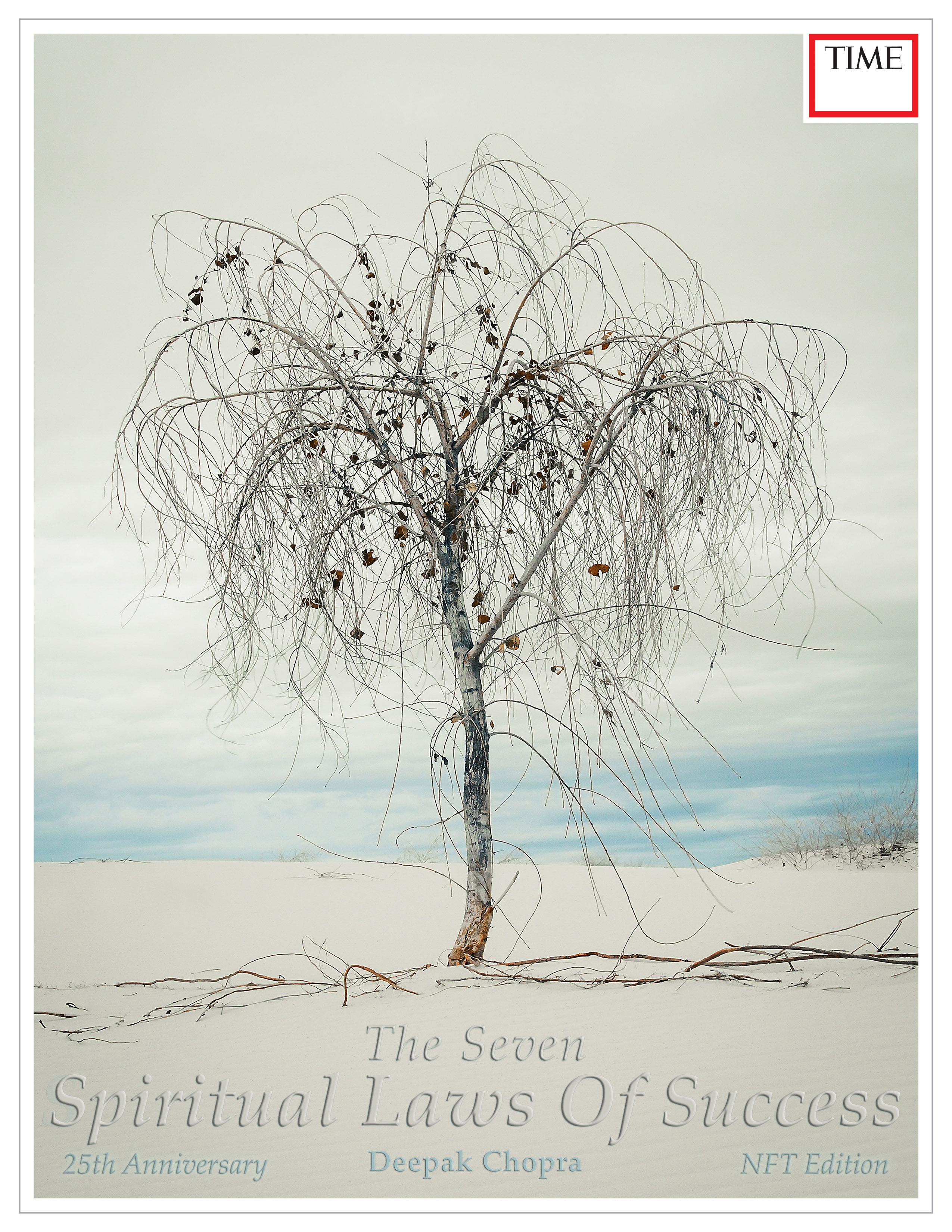 The Seven Spiritual Laws of Success | Cover by Shayne Skower