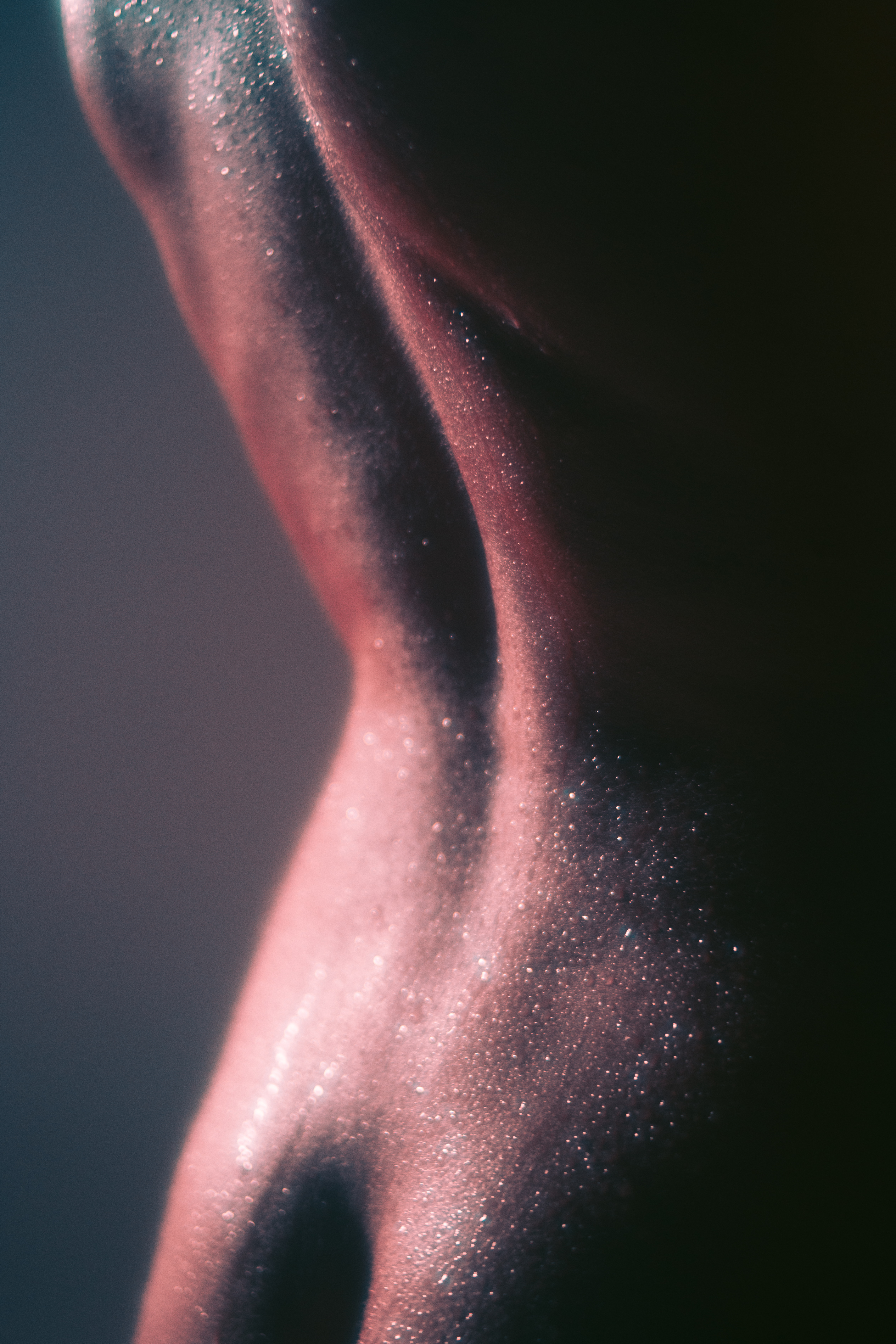 BODY 05