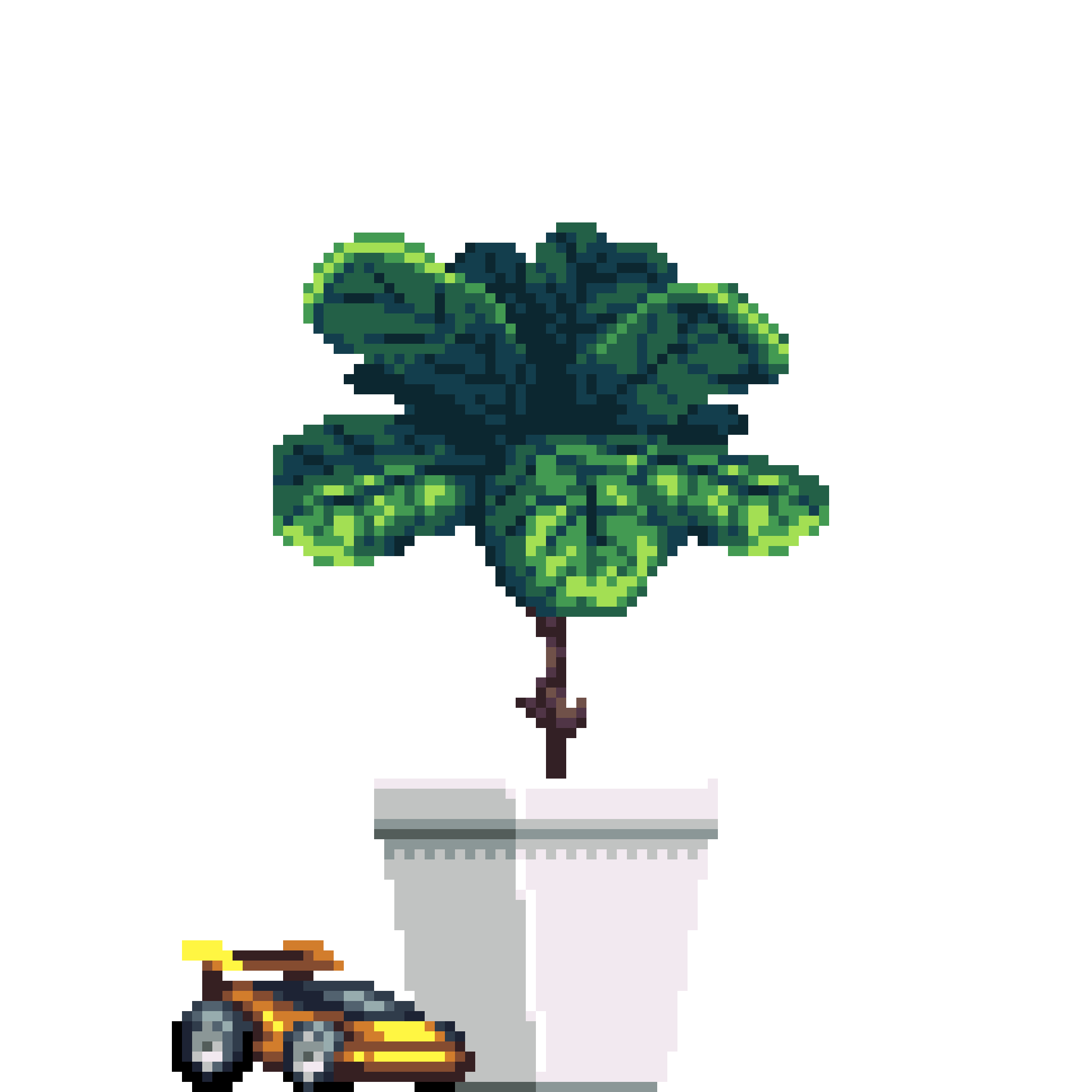 Fiddle-Leaf Fig in Square pot with Toy Car