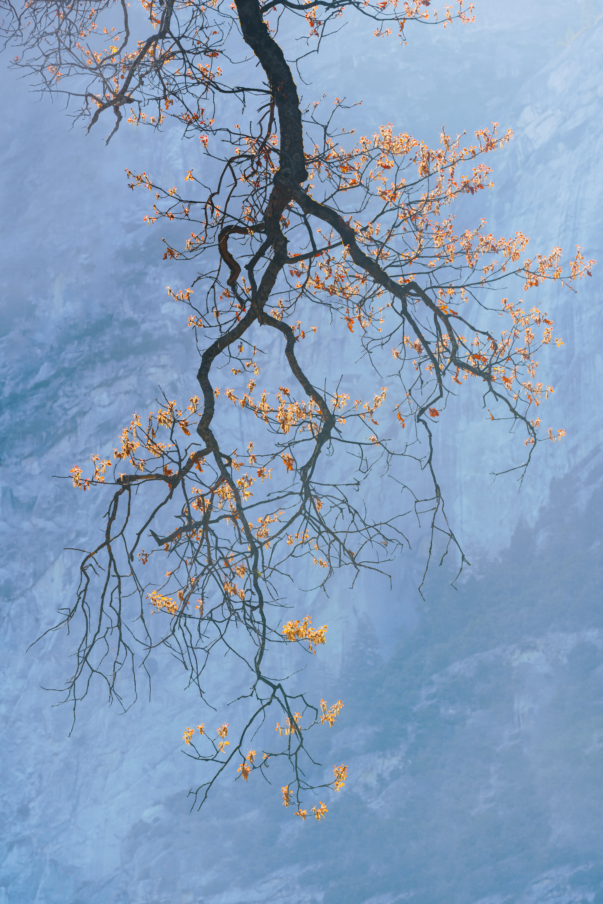 Yosemite