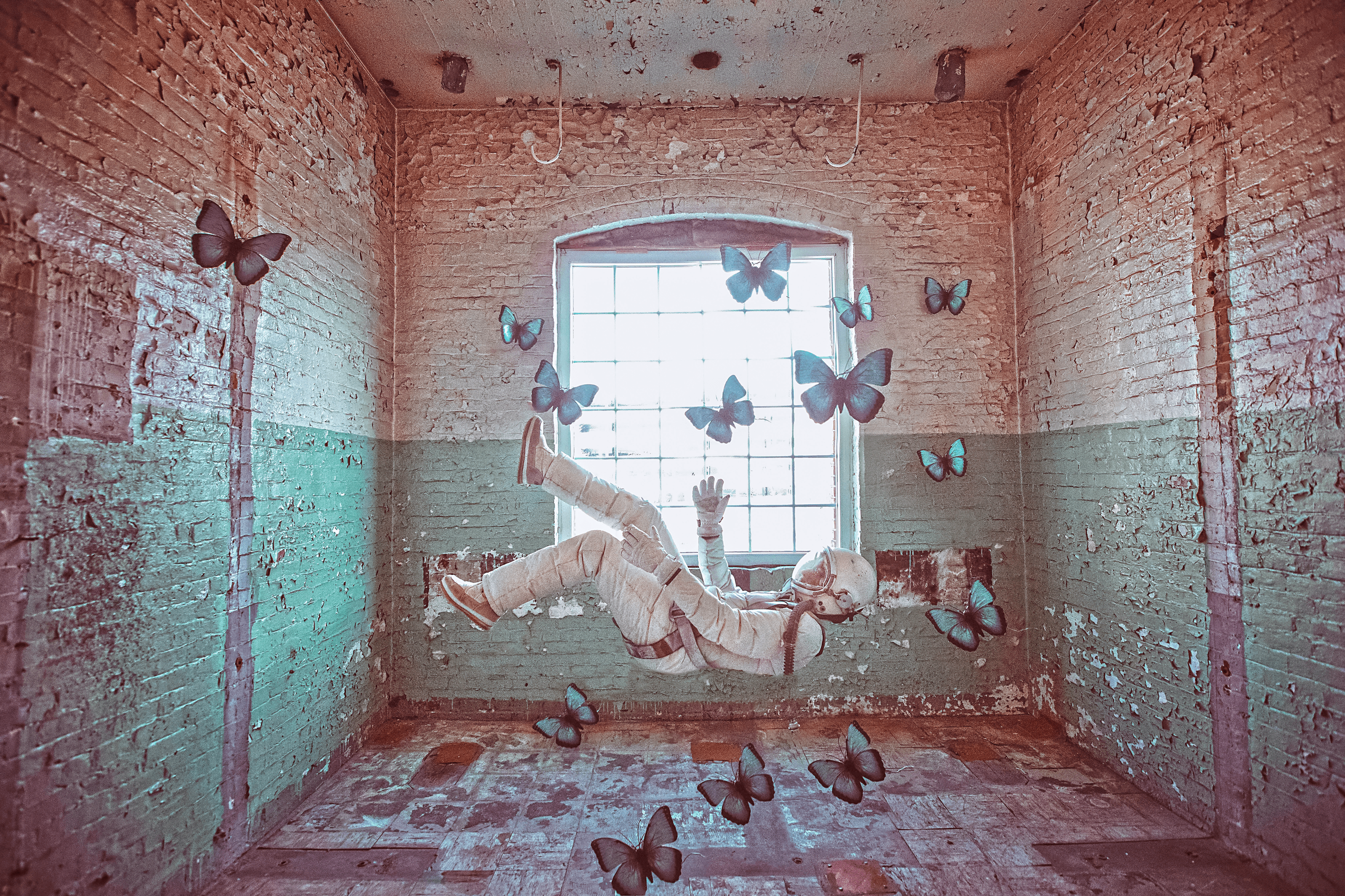 Lucid Dream