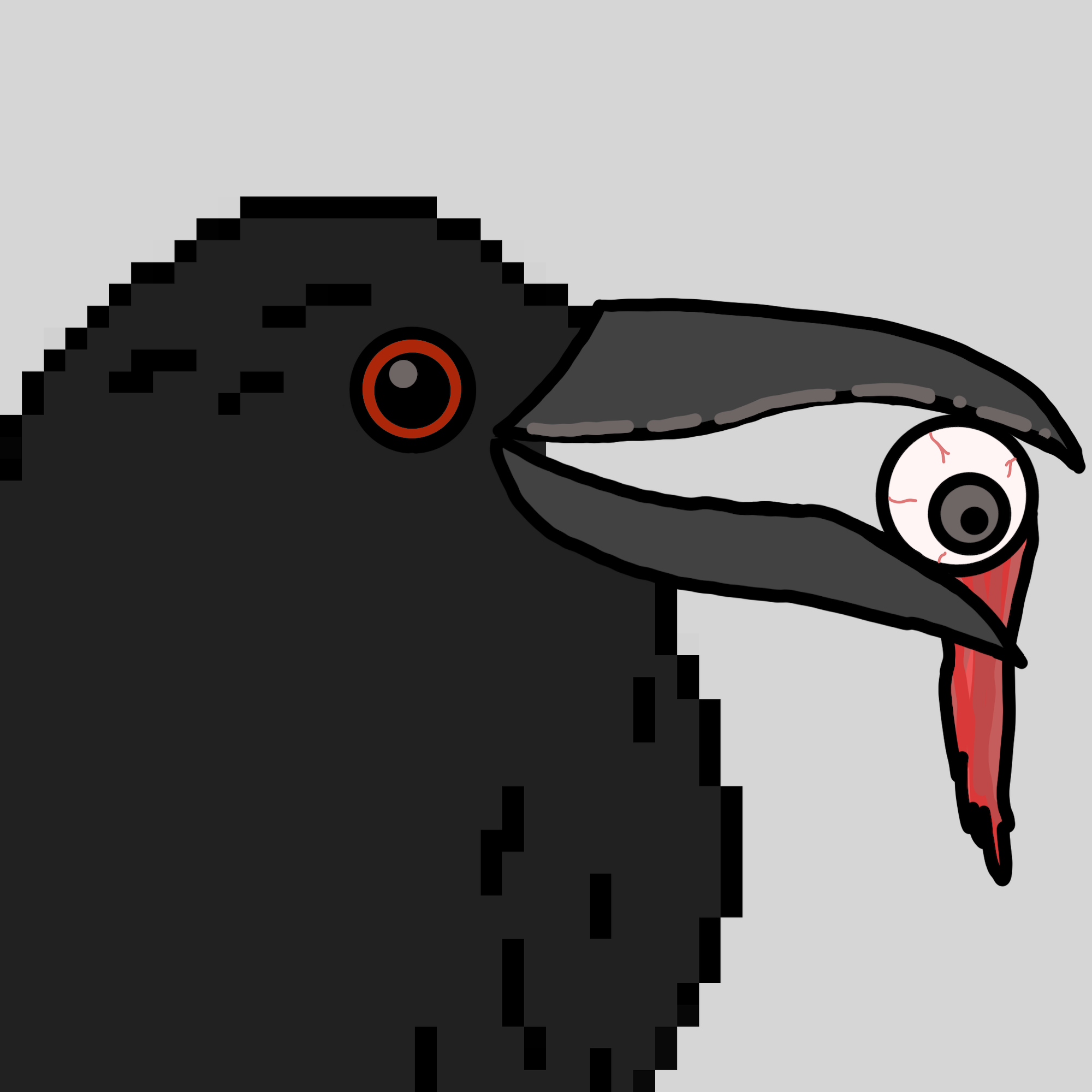 Crow Friends #963