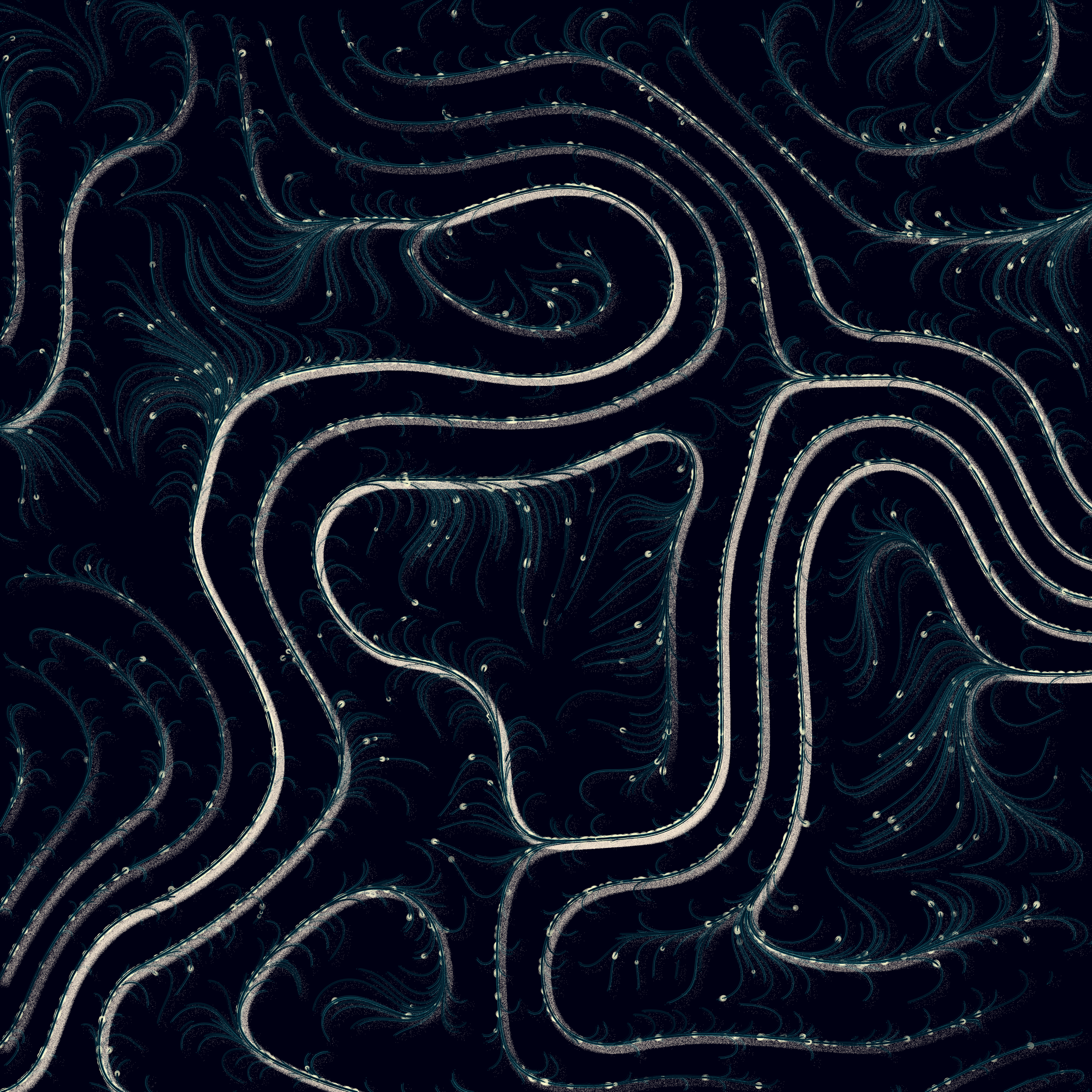 Nocturnal II