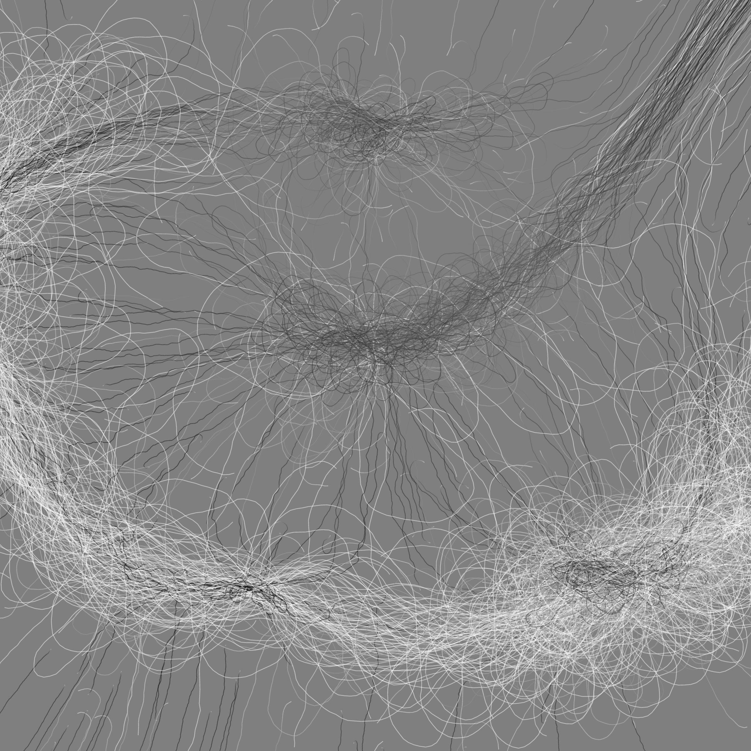 Phototaxis #214