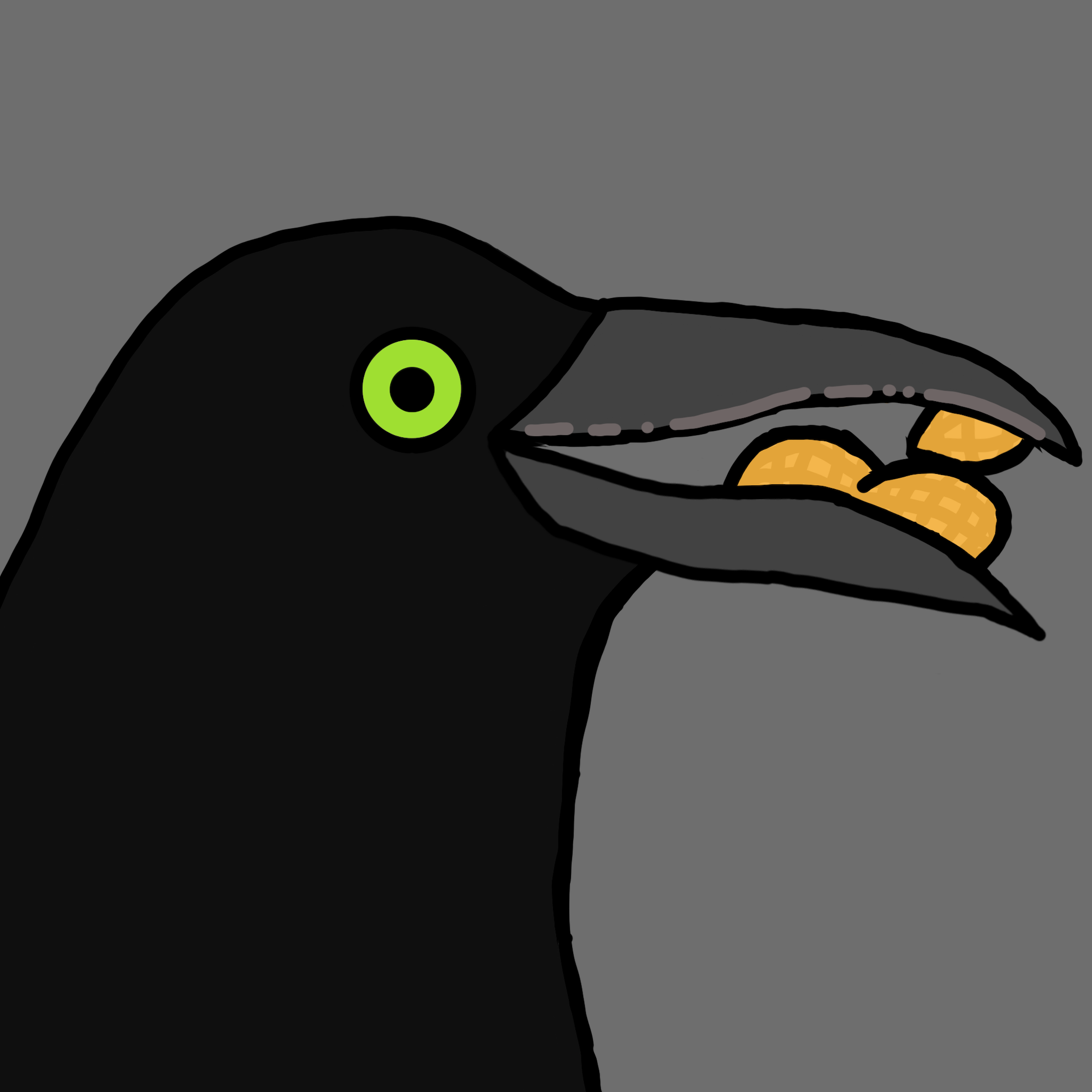 Crow Friends #994